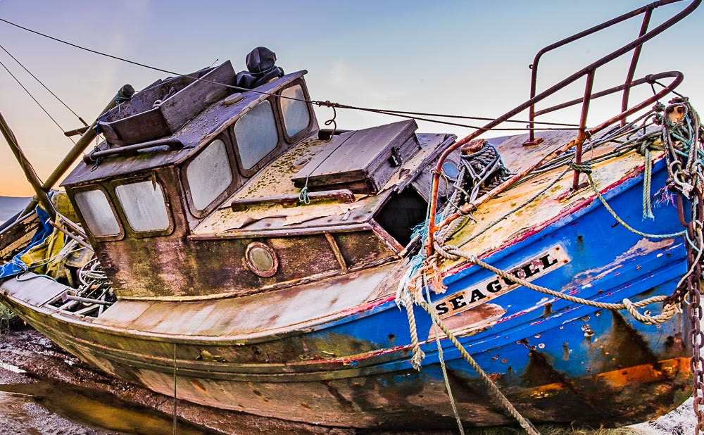 Nikon D810 + Nikon AF-S Nikkor 20mm F1.8G ED sample photo. Seagul wreck winters morning photography