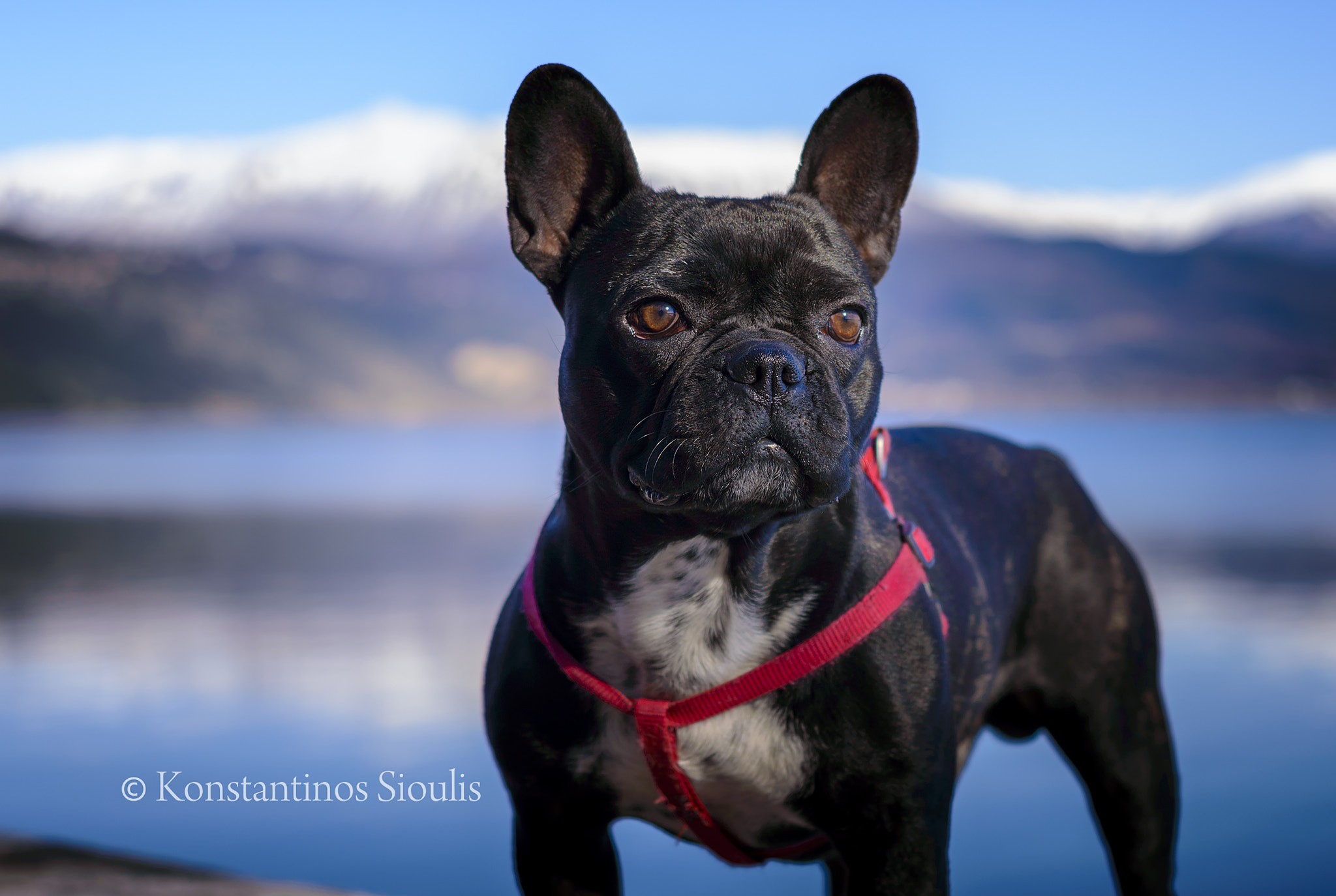 Nikon D3200 sample photo