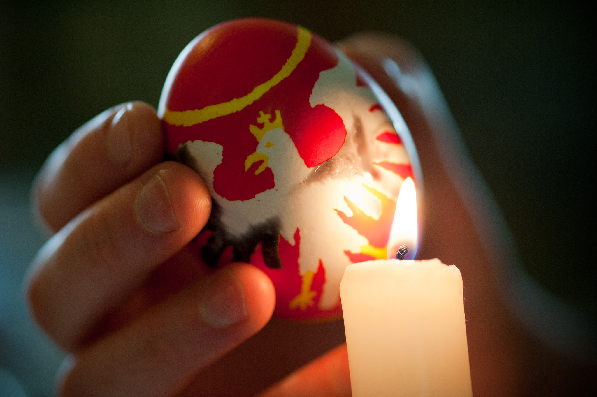 ZEISS Makro-Planar T* 100mm F2 sample photo. Pisanki polish egg decorating photography