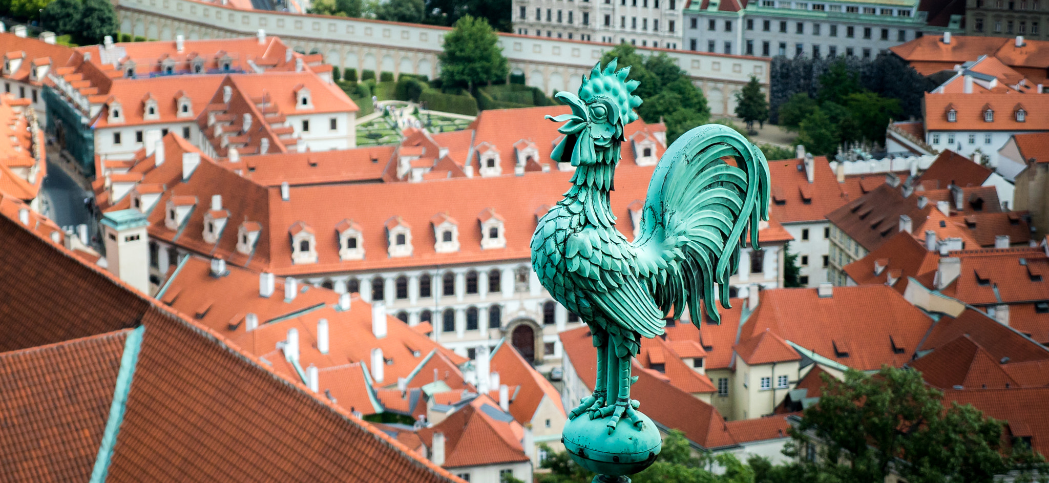 Panasonic Lumix G X Vario 12-35mm F2.8 ASPH Power OIS sample photo. Little green rooster photography