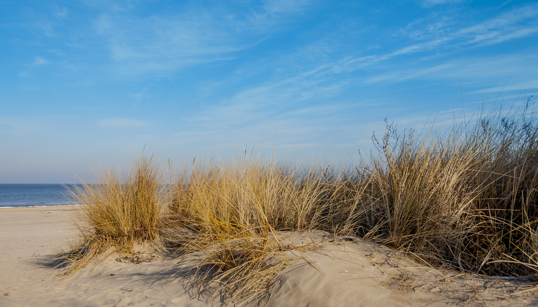 Canon EF-S 18-55mm F3.5-5.6 II sample photo. Plaża photography