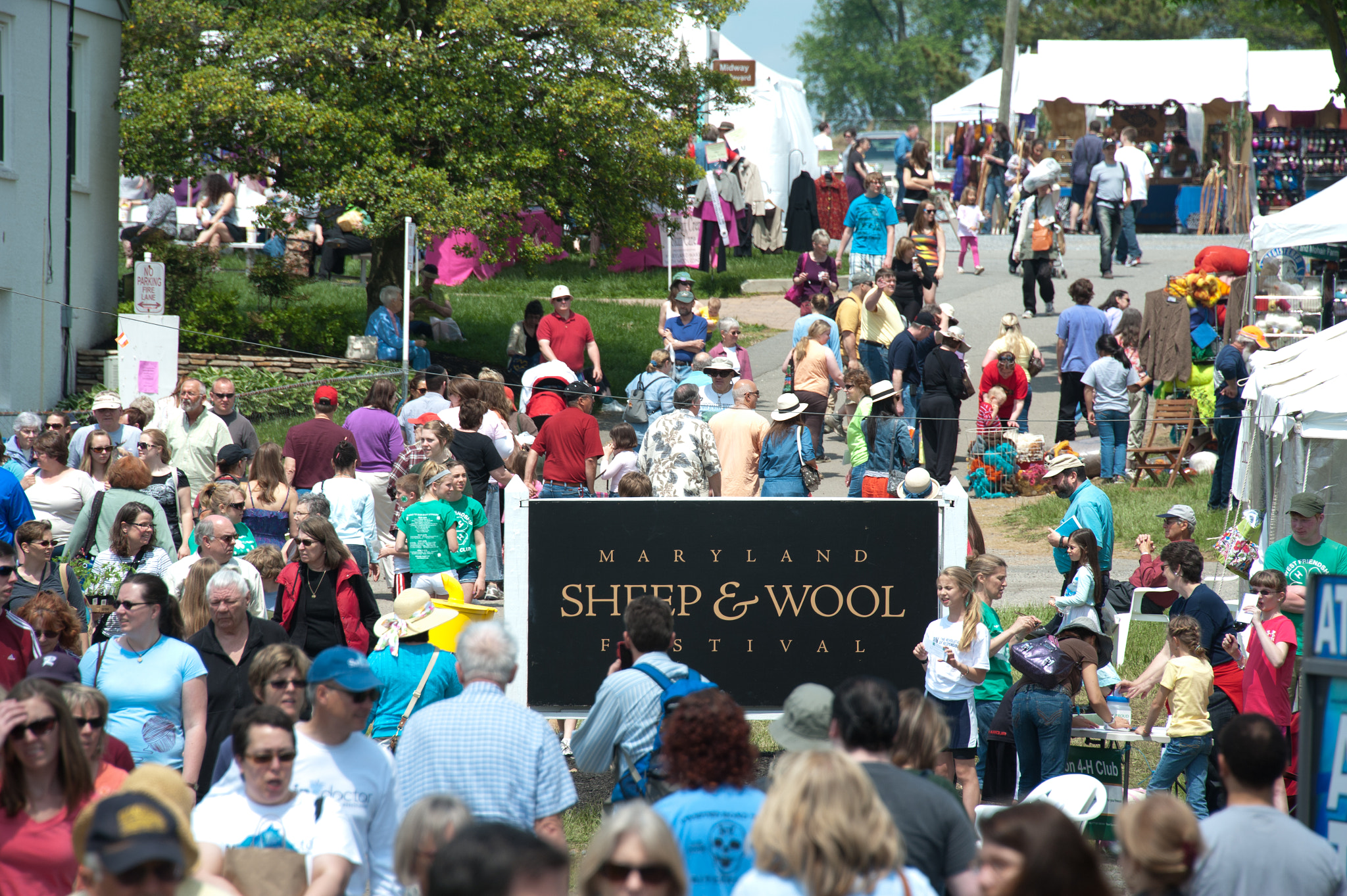 Nikon D700 sample photo. Marylands sheep and wool festival photography