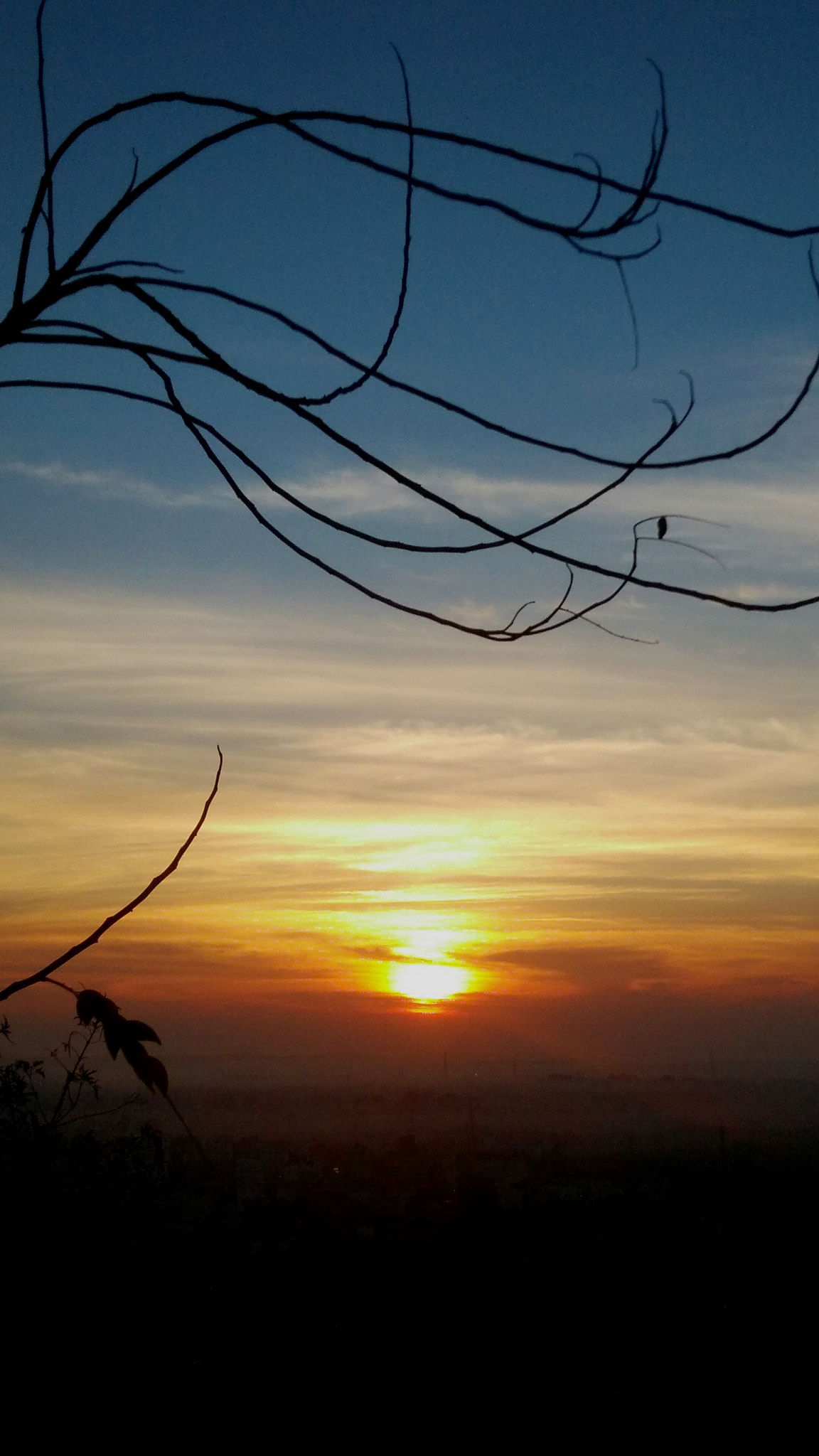 OnePlus ONE E1003 sample photo. Sunrise and tree photography