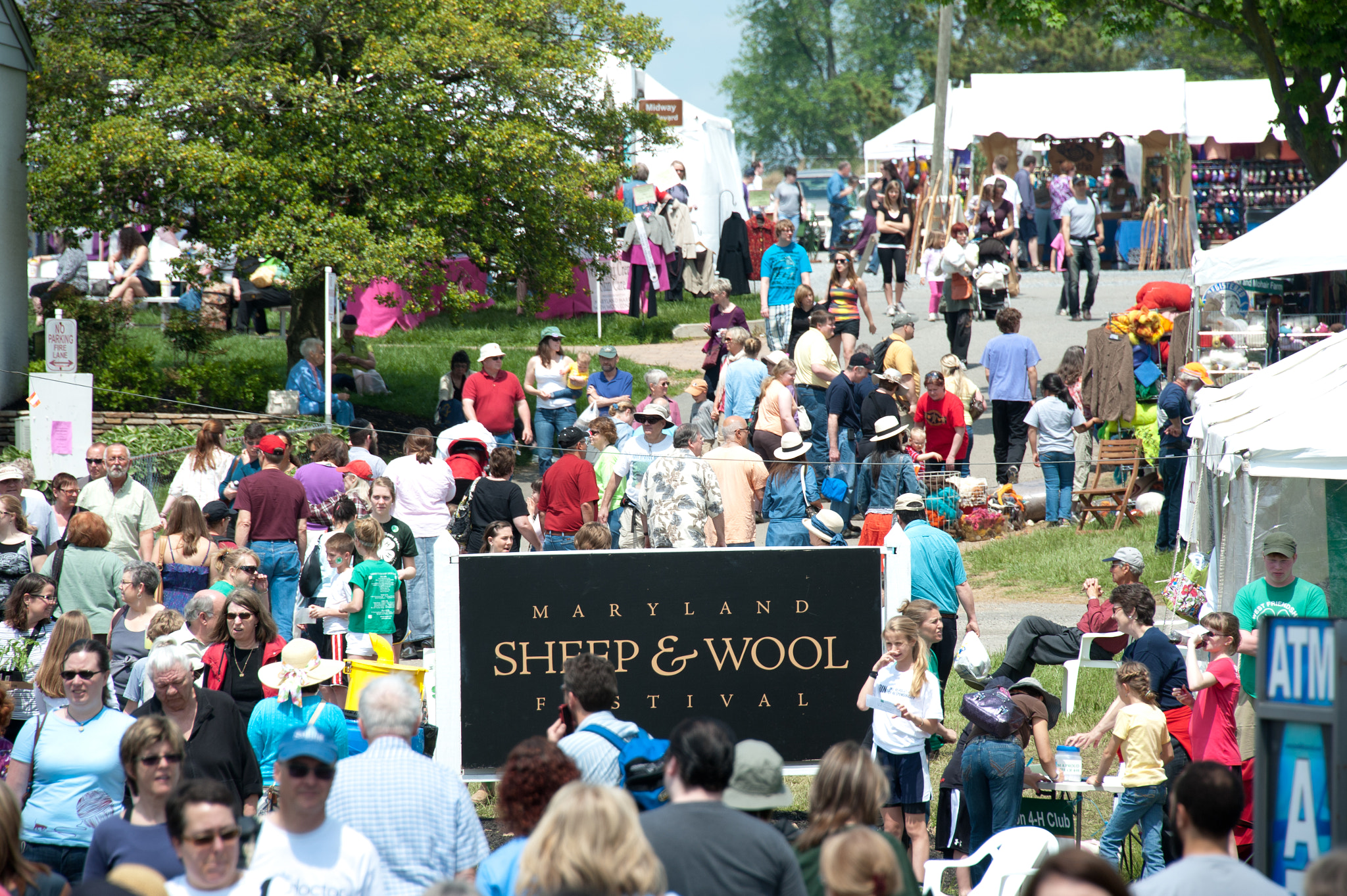 Nikon D700 sample photo. Marylands sheep and wool festival photography