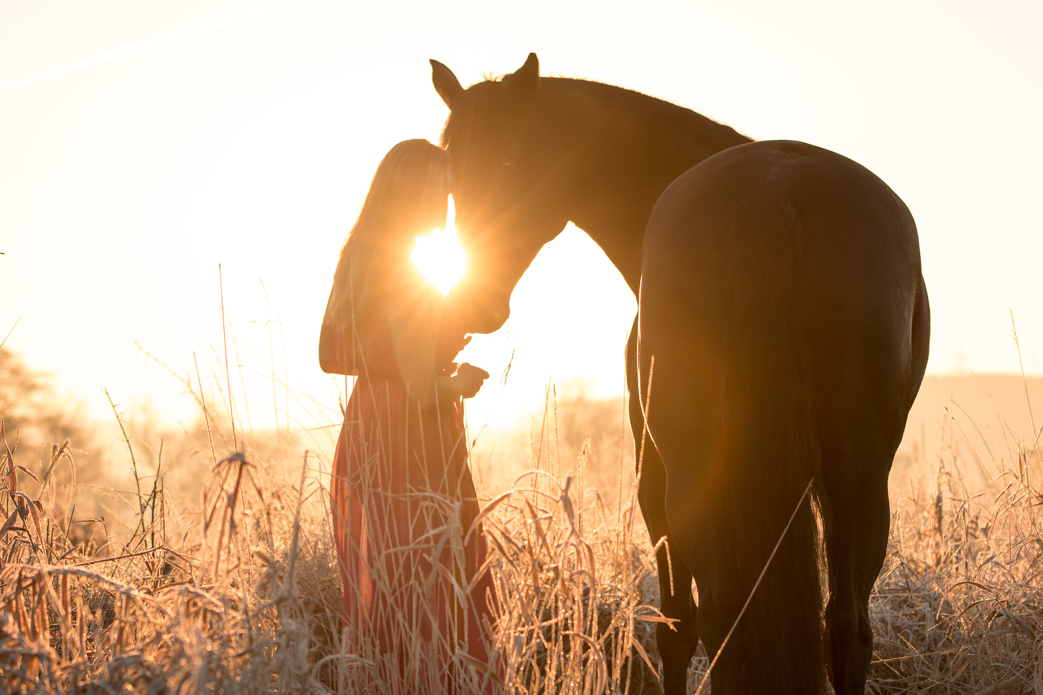 Sigma 70-200mm F2.8 EX DG OS HSM sample photo. Morning magic photography
