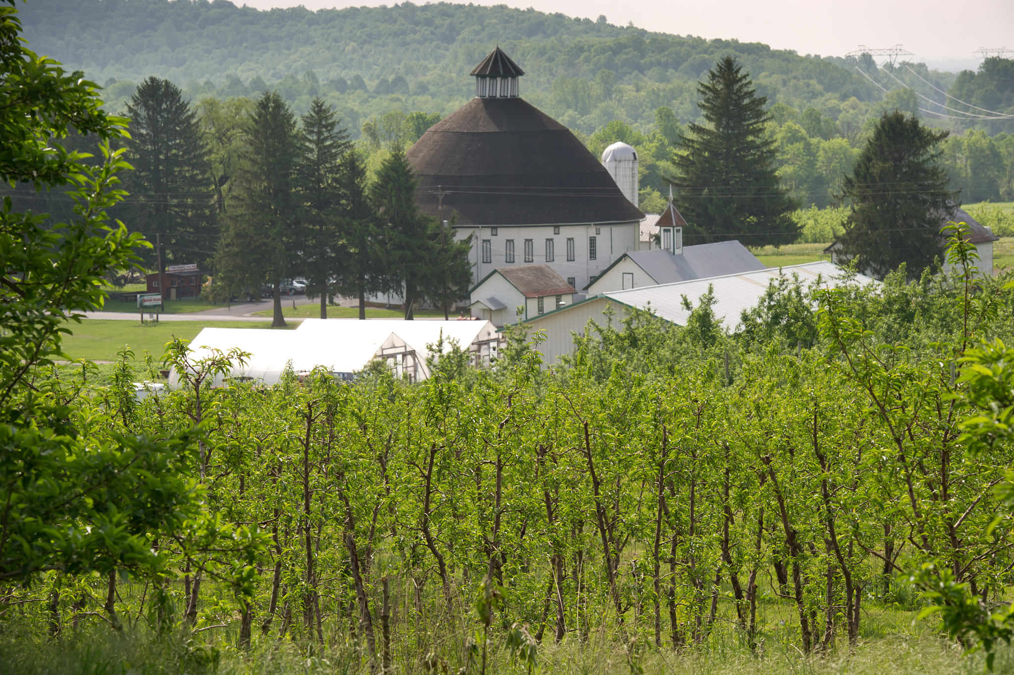 Nikon D3S sample photo. Round barn in field photography
