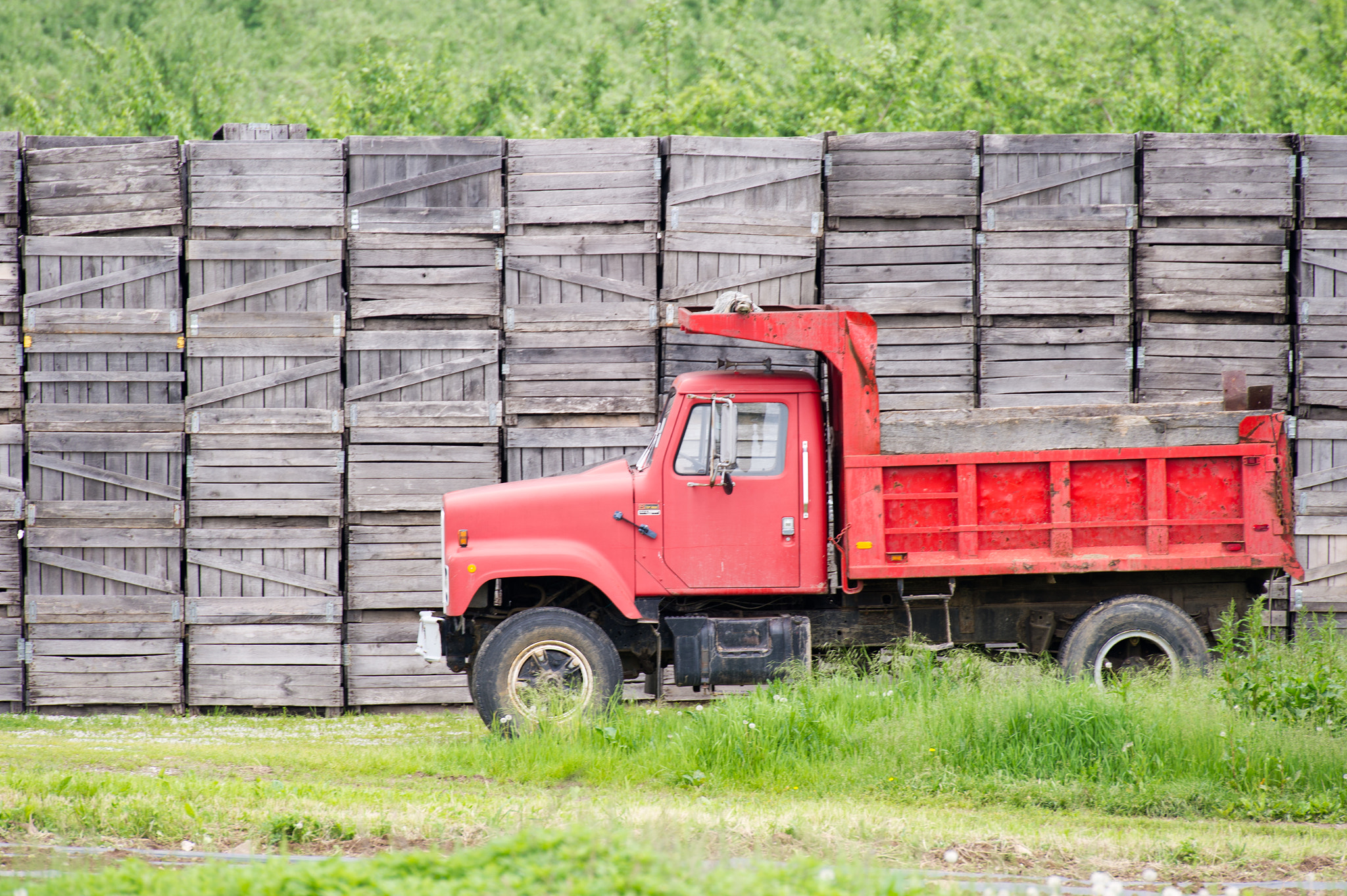 Nikon D3S sample photo. Red truck in front of stack of apple crates photography