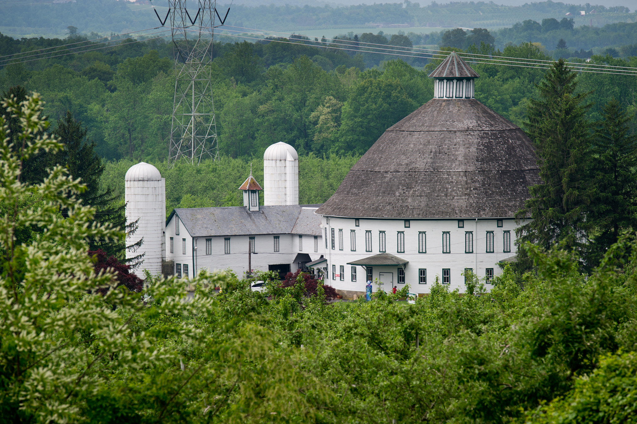 Nikon D3S sample photo. Round barn in field photography