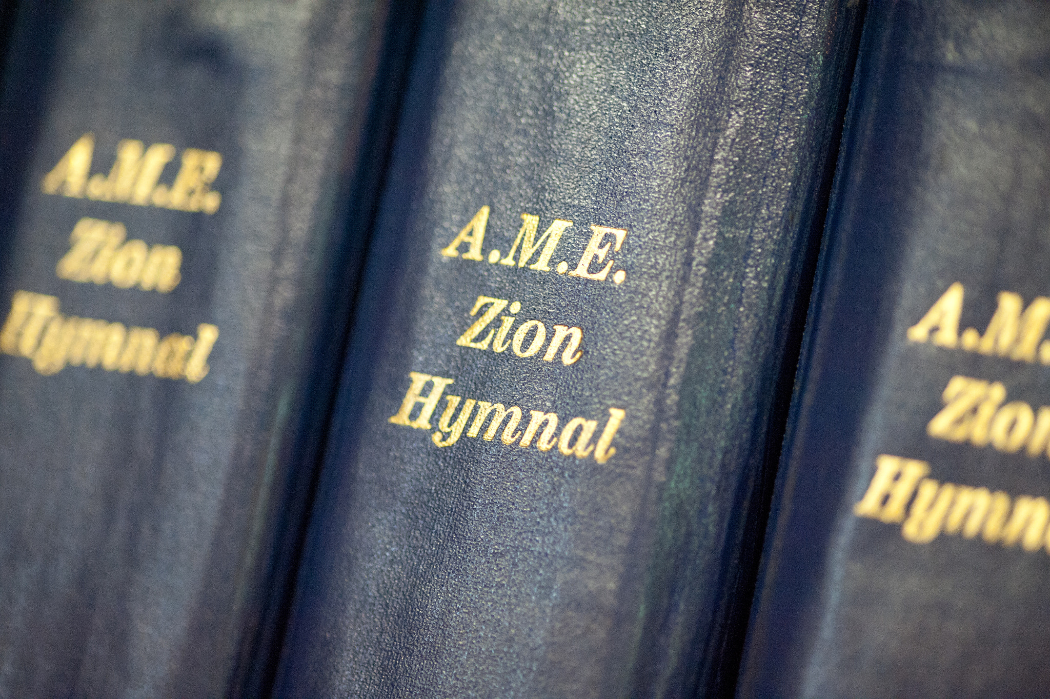 ZEISS Makro-Planar T* 100mm F2 sample photo. Bindings of hymnal books photography