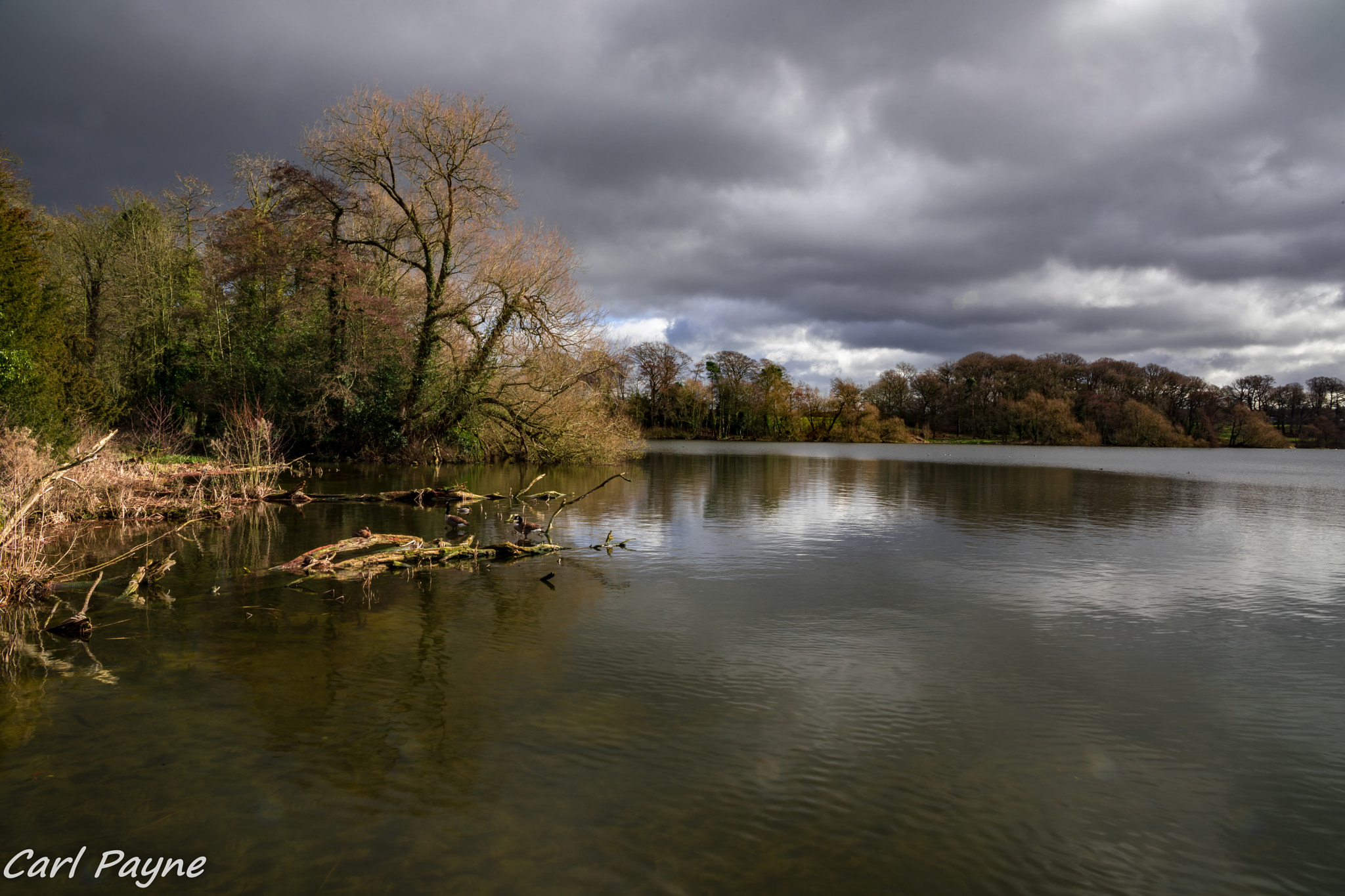 Canon EF 400mm f/2.8L sample photo. The mere at ellesmere photography