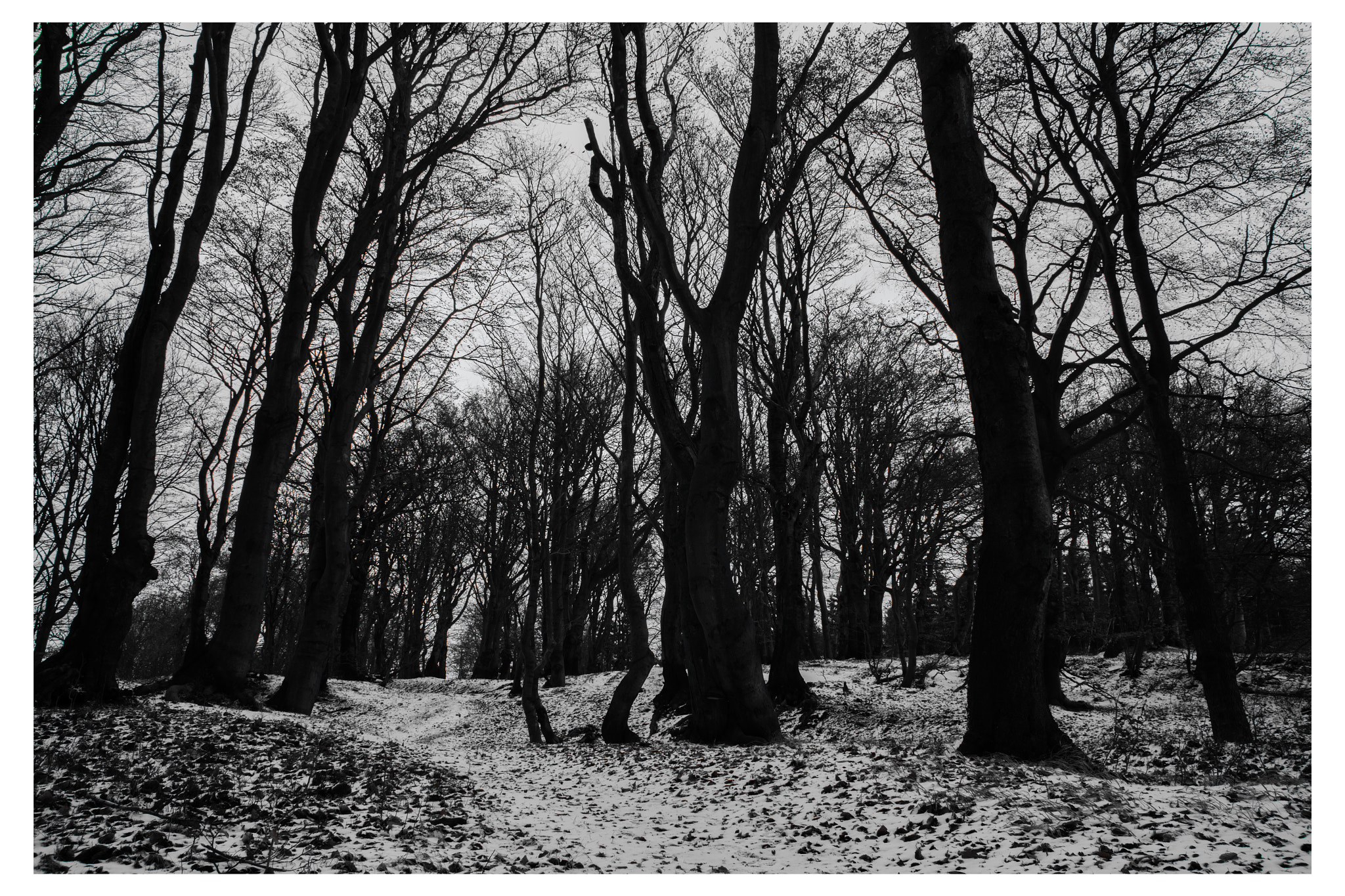 Canon EOS 6D + Canon EF 28mm F1.8 USM sample photo. Bournak photography