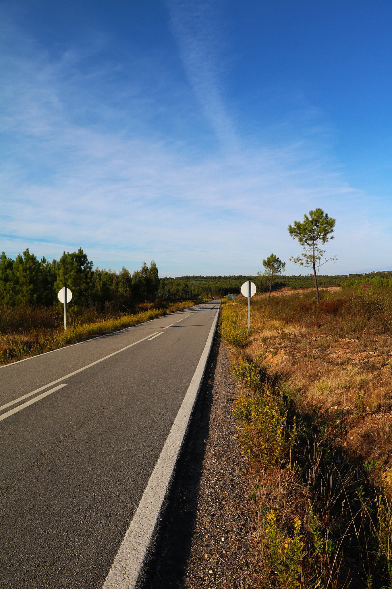 Canon EOS 760D (EOS Rebel T6s / EOS 8000D) sample photo. Road photography