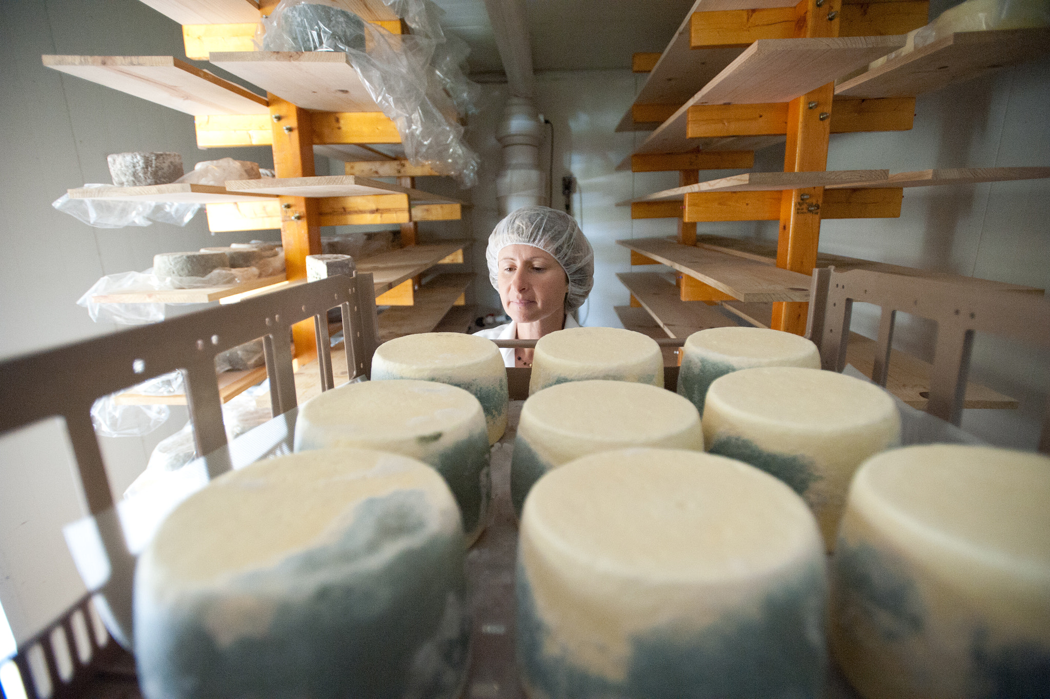 Nikon D700 + Nikon AF-S Nikkor 17-35mm F2.8D ED-IF sample photo. Woman inspecting wheels of homemade cheeses at creamery photography