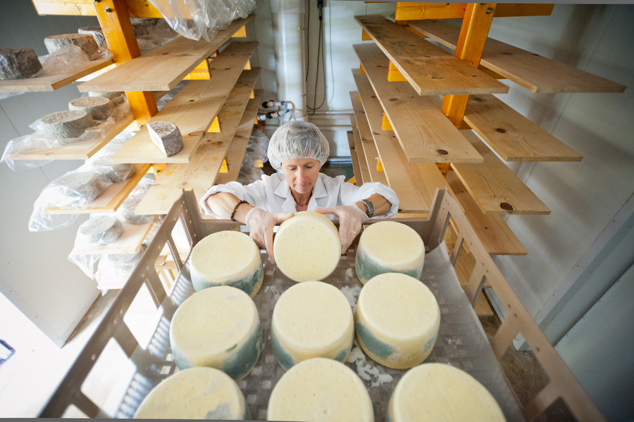 Nikon D700 + Nikon AF-S Nikkor 17-35mm F2.8D ED-IF sample photo. Woman inspecting wheels of homemade cheeses at creamery photography