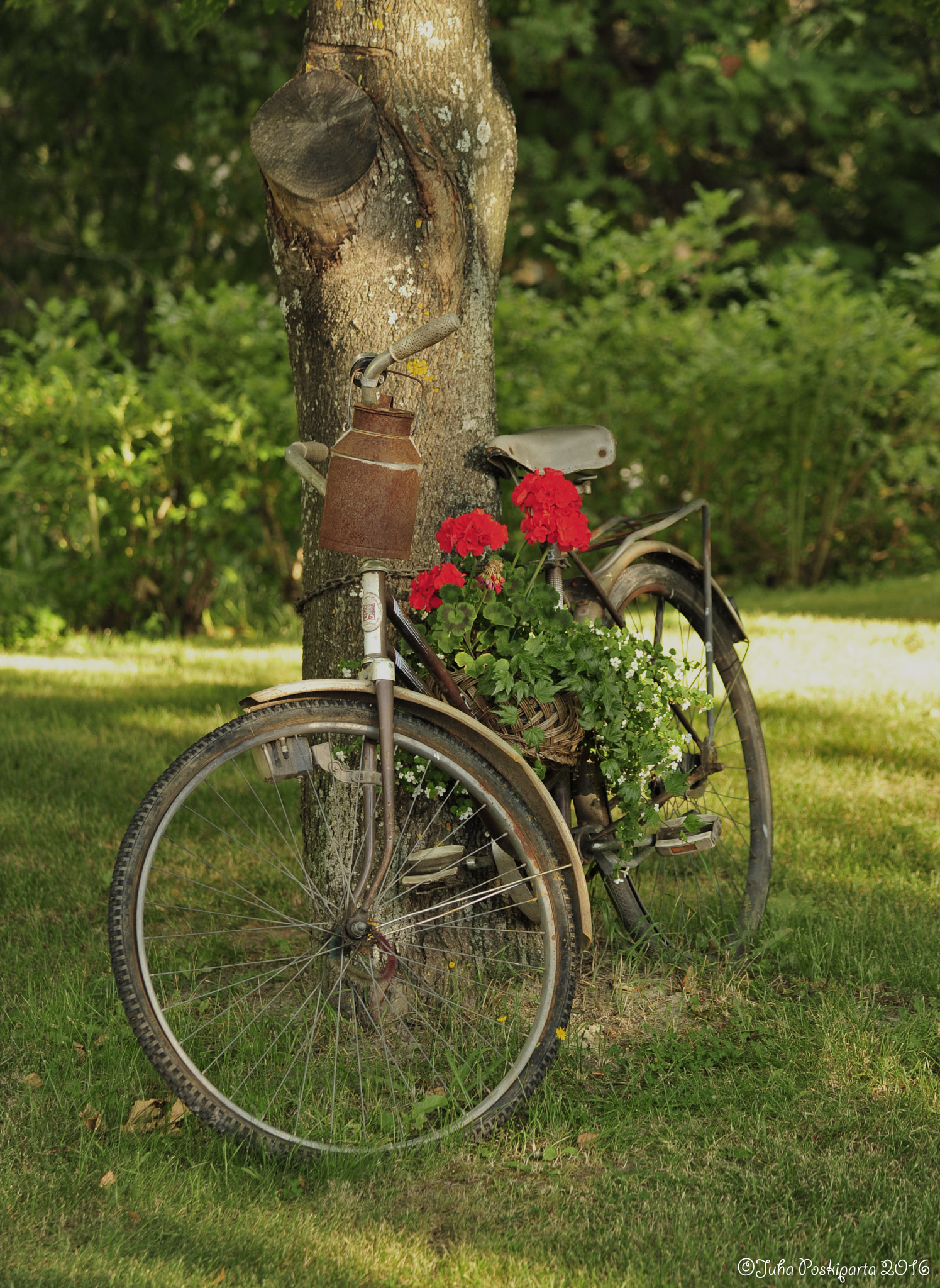 Nikon D700 sample photo. Bikecycle photography