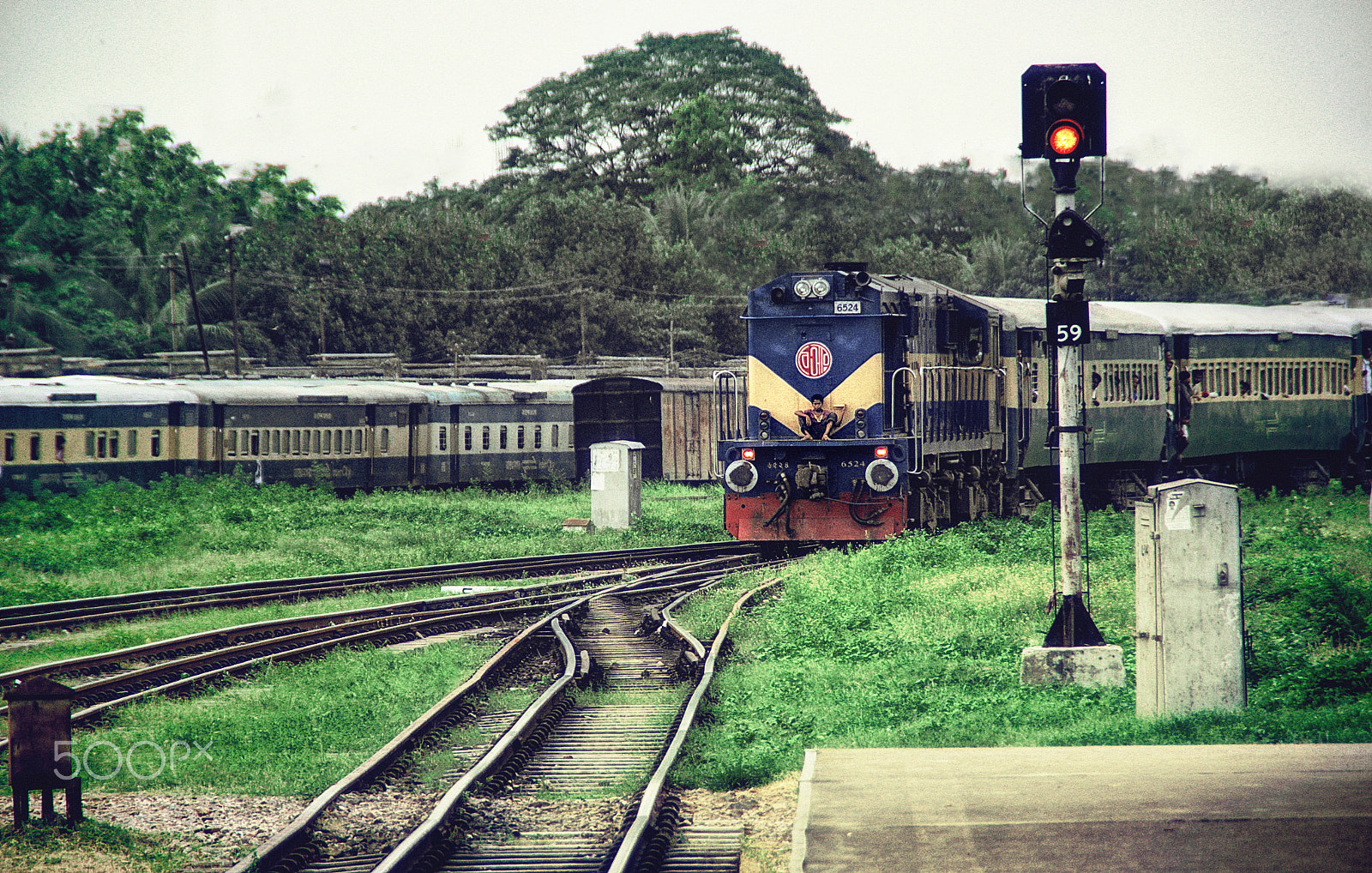 Canon EOS 60D sample photo. Look...who's coming..... photography