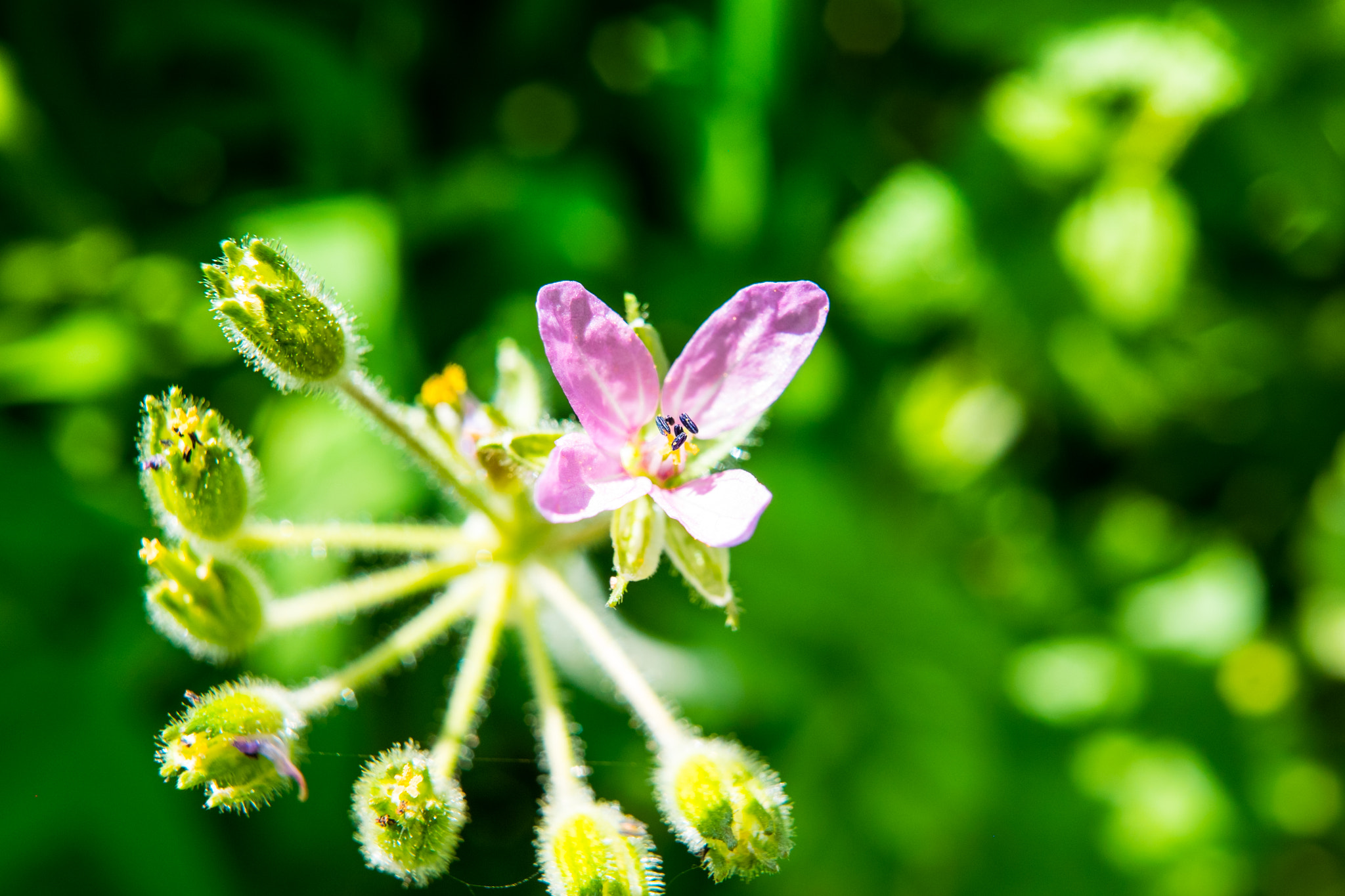 Fujifilm X-T1 + Fujifilm XF 23mm F1.4 R sample photo