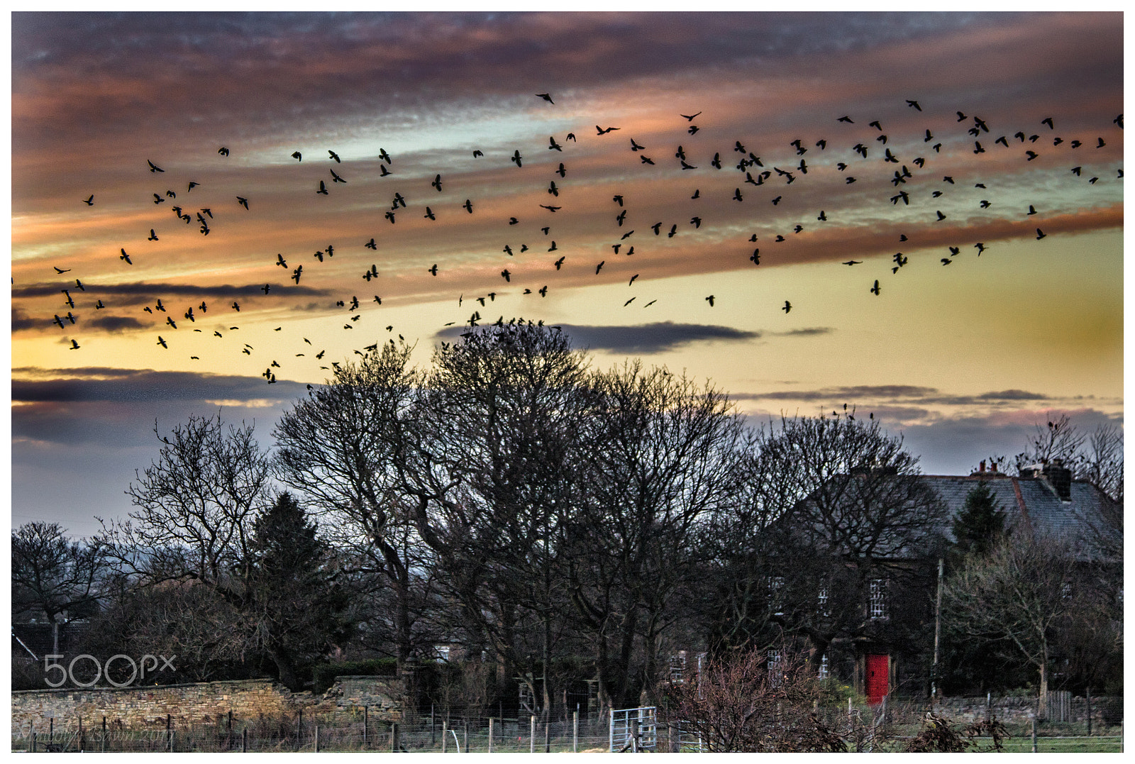 Canon EOS 760D (EOS Rebel T6s / EOS 8000D) + Canon EF 24-105mm F4L IS USM sample photo. Crows photography