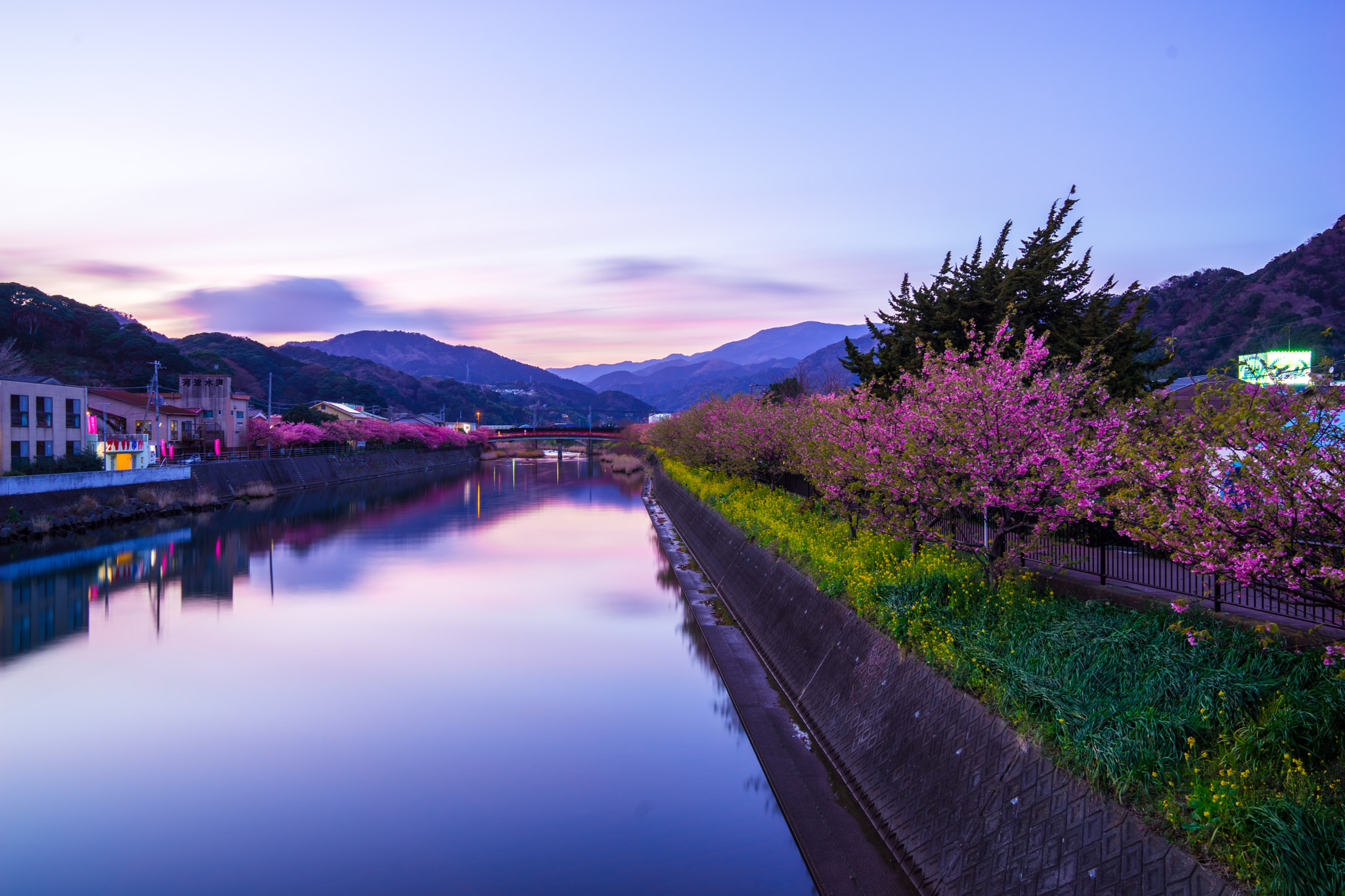 Sony a7 II + Sony FE 24-70mm F2.8 GM sample photo