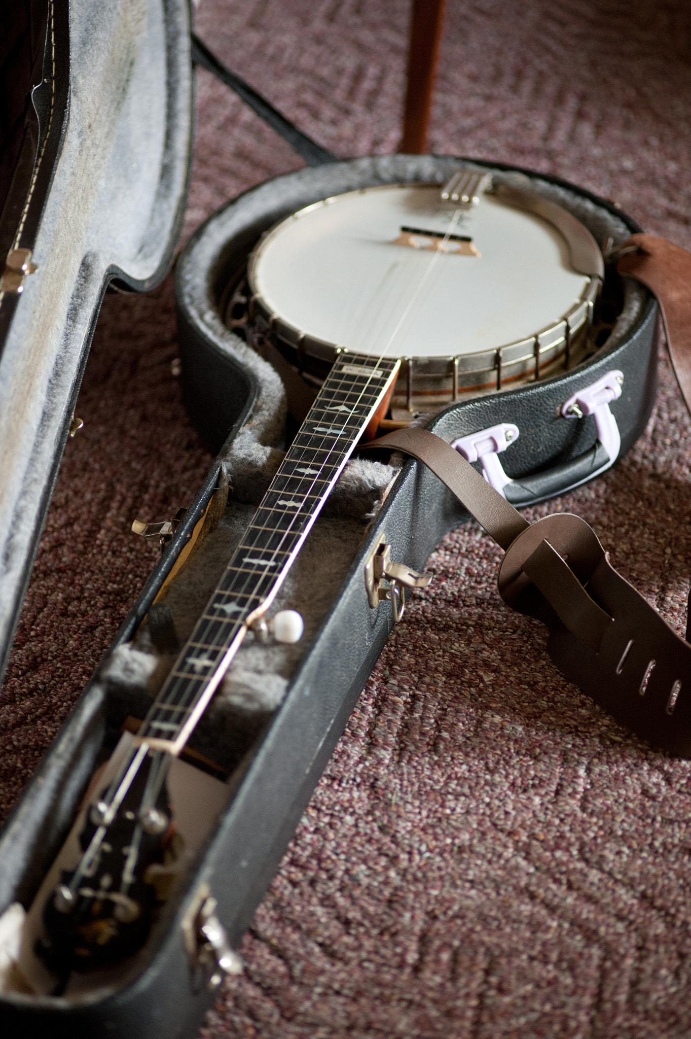 ZEISS Makro-Planar T* 100mm F2 sample photo. Banjo in case photography