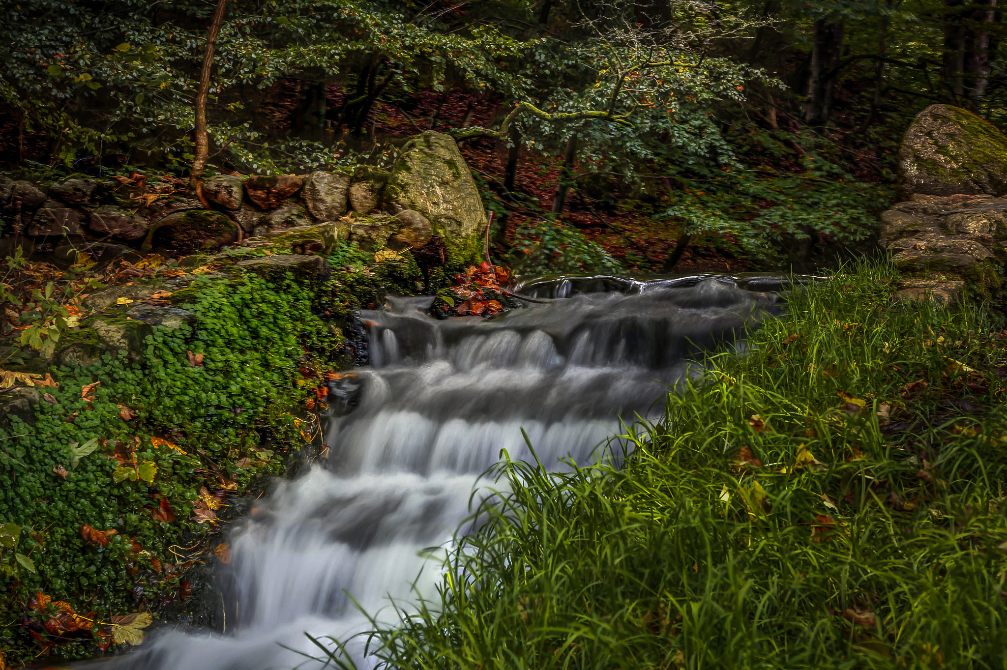 Canon EOS 60D sample photo. Fall photography