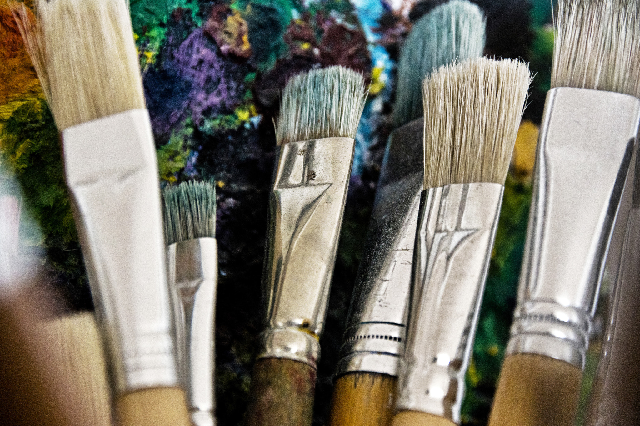 Sigma 17-70mm F2.8-4 DC Macro HSM | C sample photo. Paint me a still-life! photography