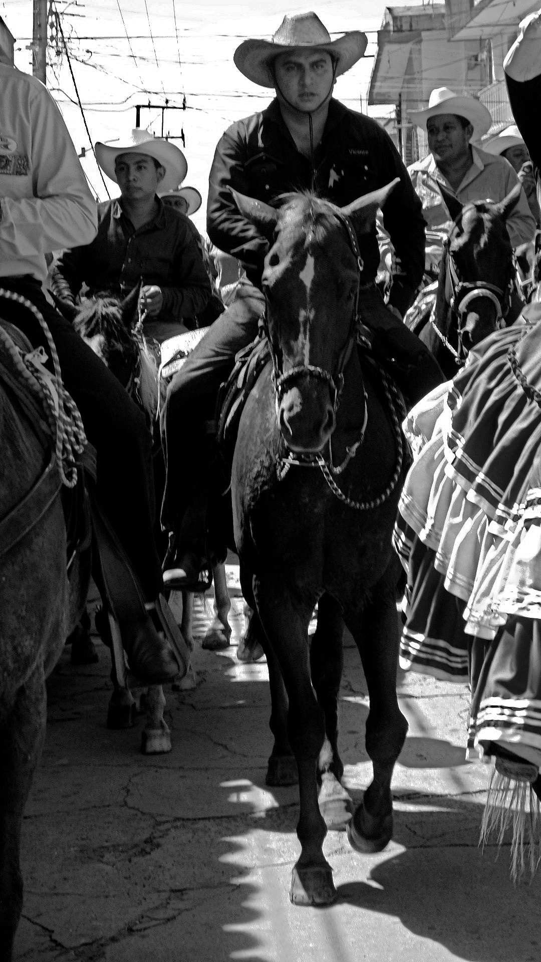 Samsung ST72/ST73 sample photo. Horseman photography