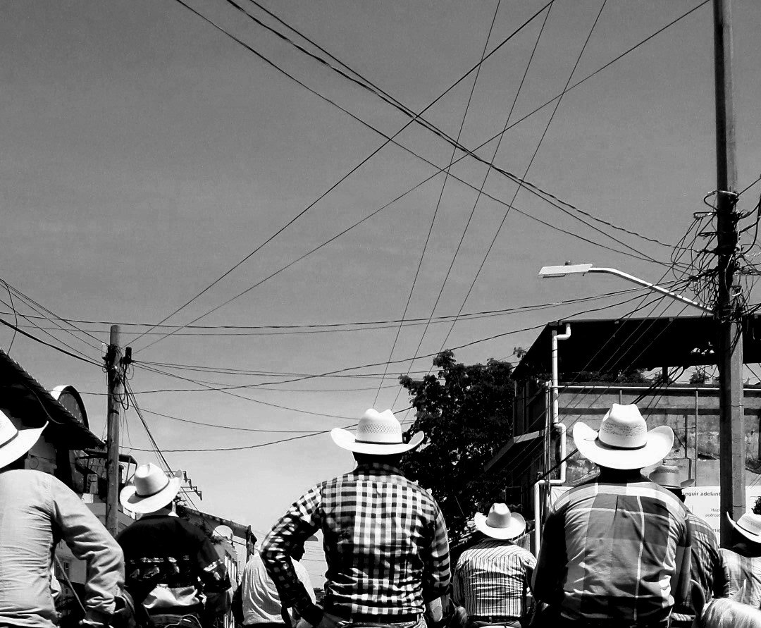Samsung ST72/ST73 sample photo. Procession photography