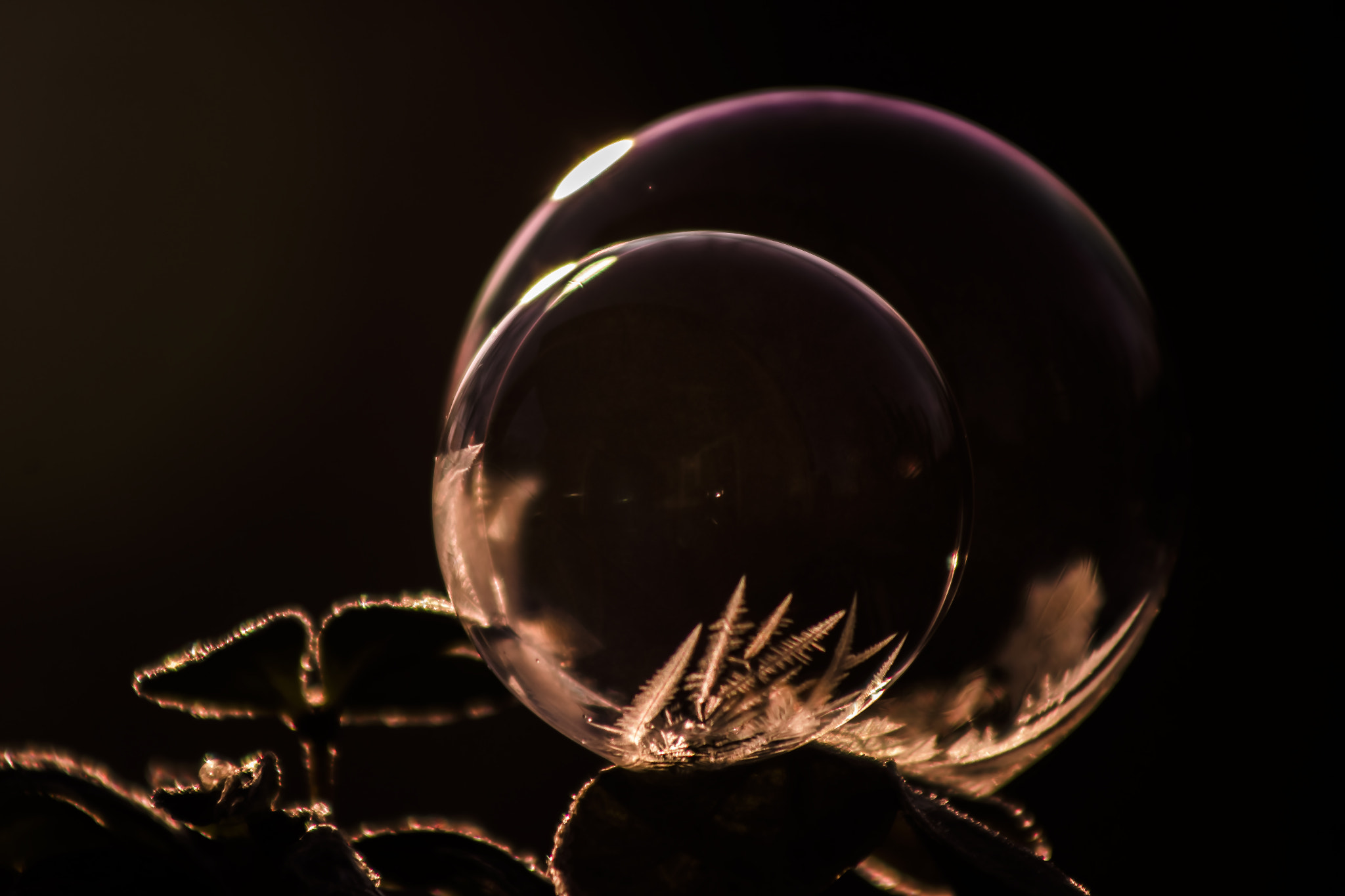 Canon EOS 70D + EF75-300mm f/4-5.6 sample photo. Eiskalt erwischt photography