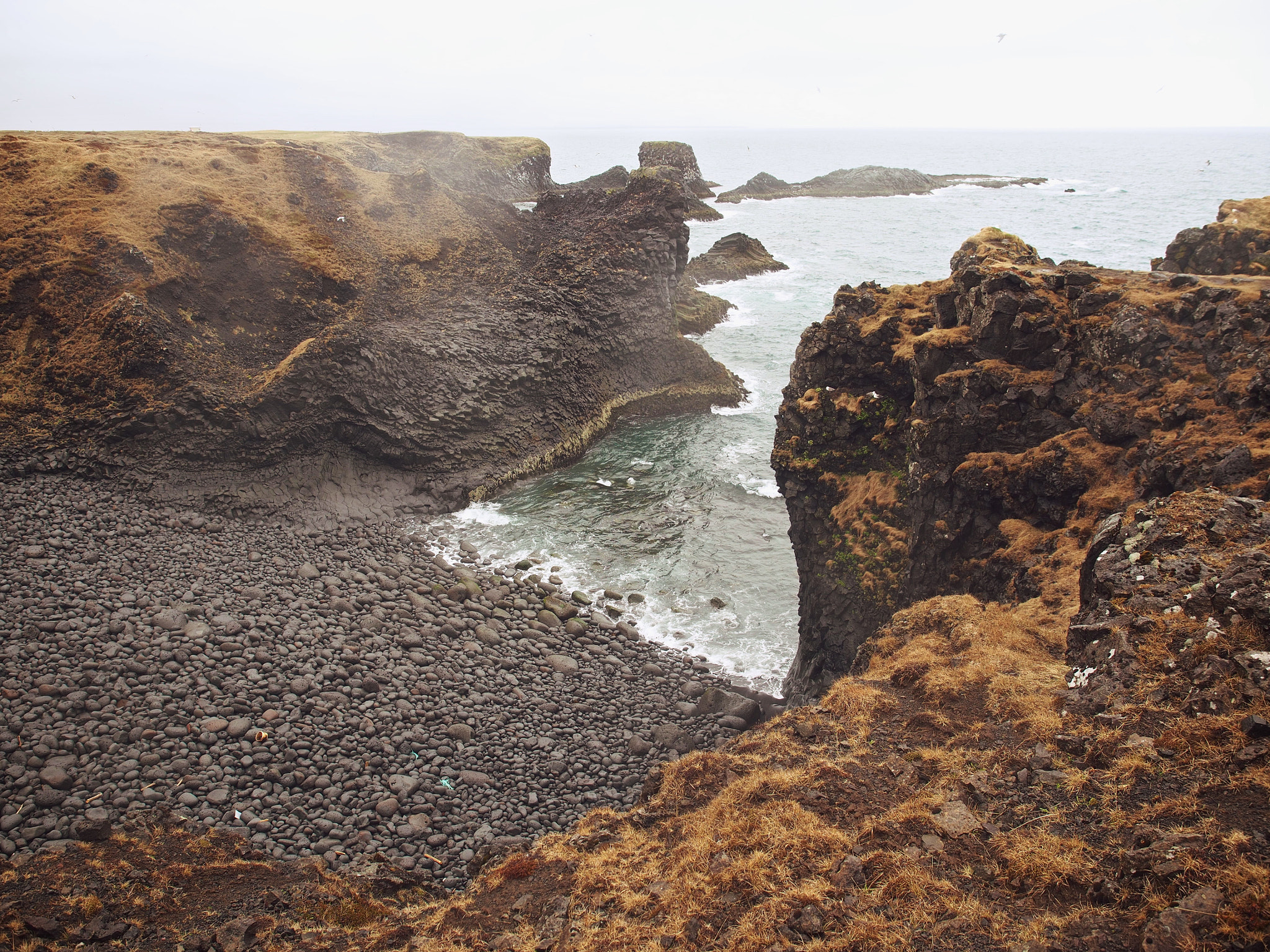 Olympus OM-D E-M5 sample photo. Bird cliffs at arnarstapi iceland photography