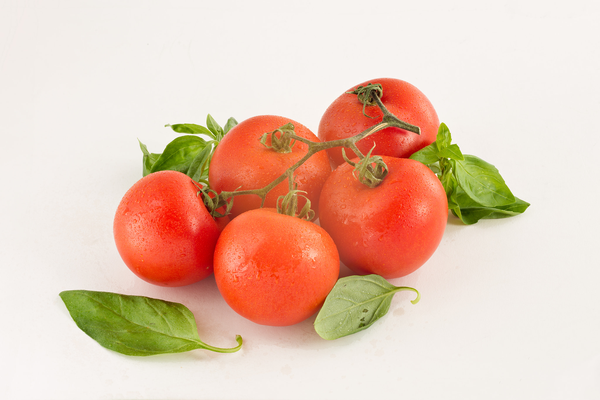 Canon EOS 6D + Tamron SP AF 90mm F2.8 Di Macro sample photo. Tomatoes and basil photography