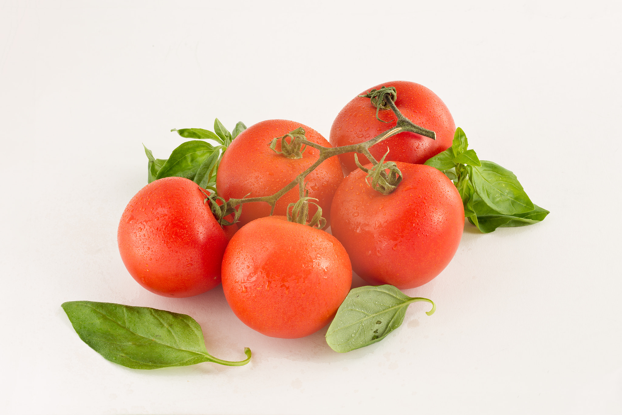 Tamron SP AF 90mm F2.8 Di Macro sample photo. Tomatoes and basil photography