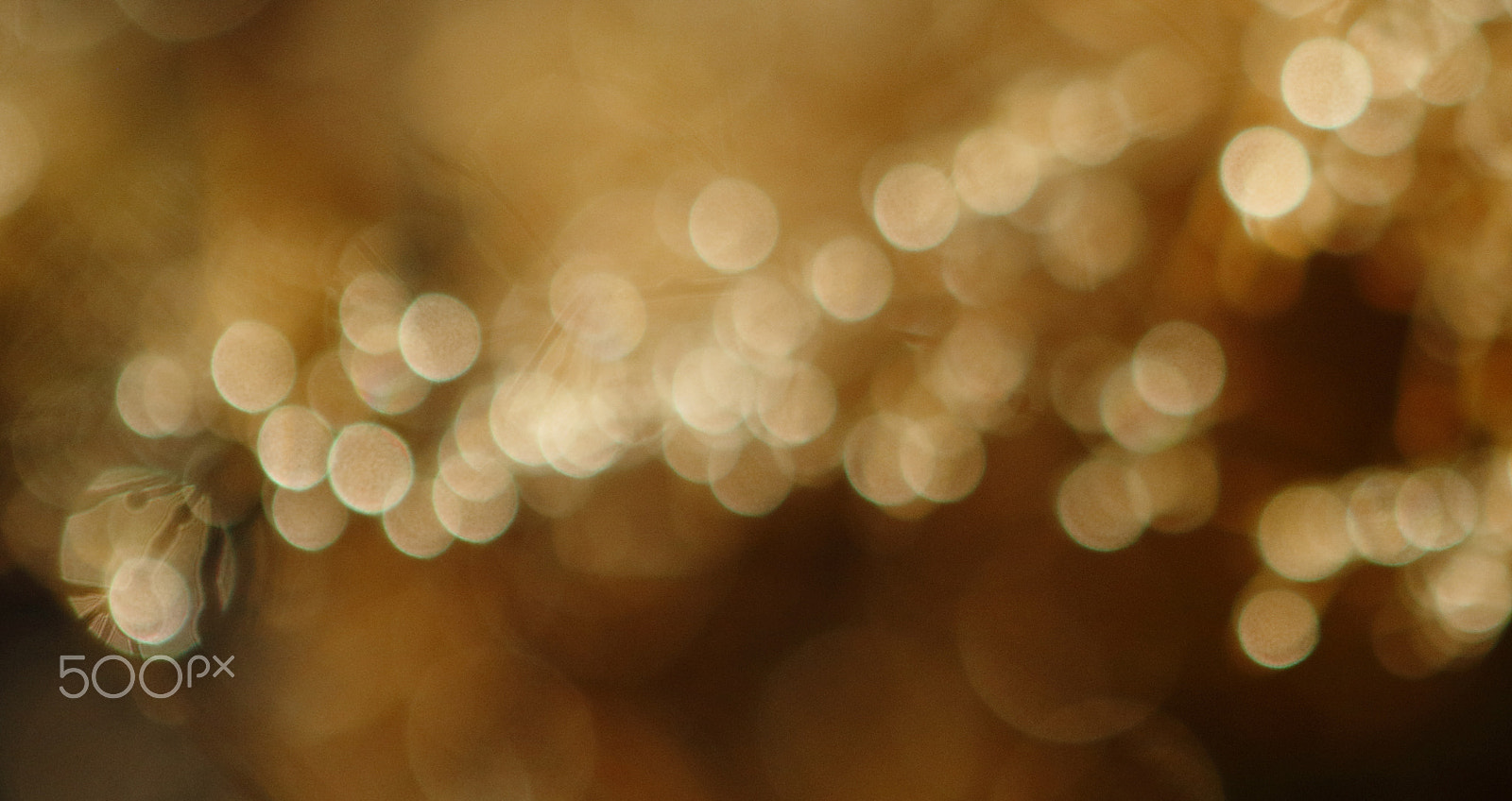 Canon EF 24-70mm F2.8L USM sample photo. Bo kay photography