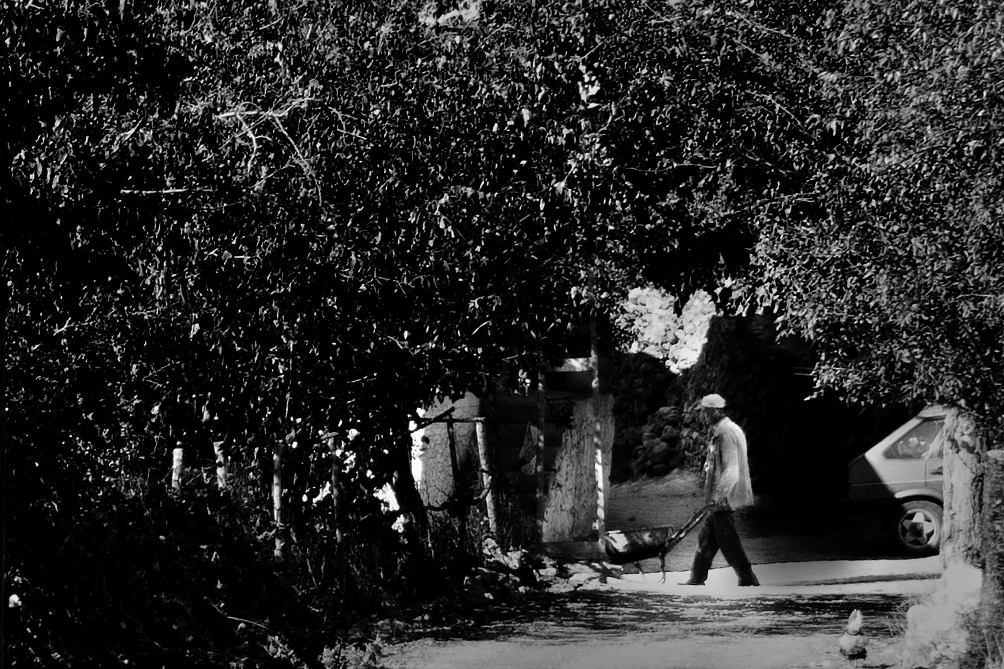 Canon EOS 1000D (EOS Digital Rebel XS / EOS Kiss F) sample photo. Human and nature photography