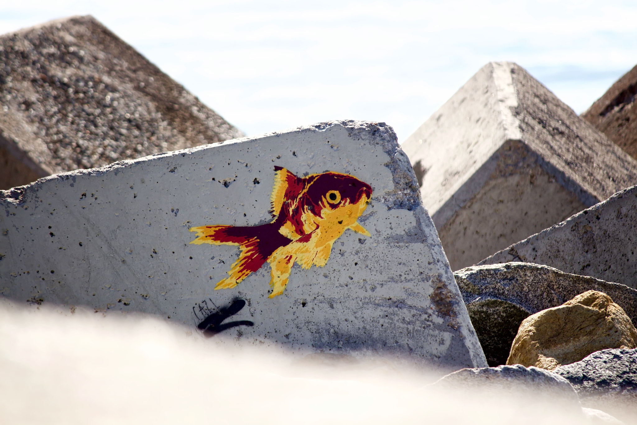 Canon EF-S 55-250mm F4-5.6 IS sample photo. Graffiti photography