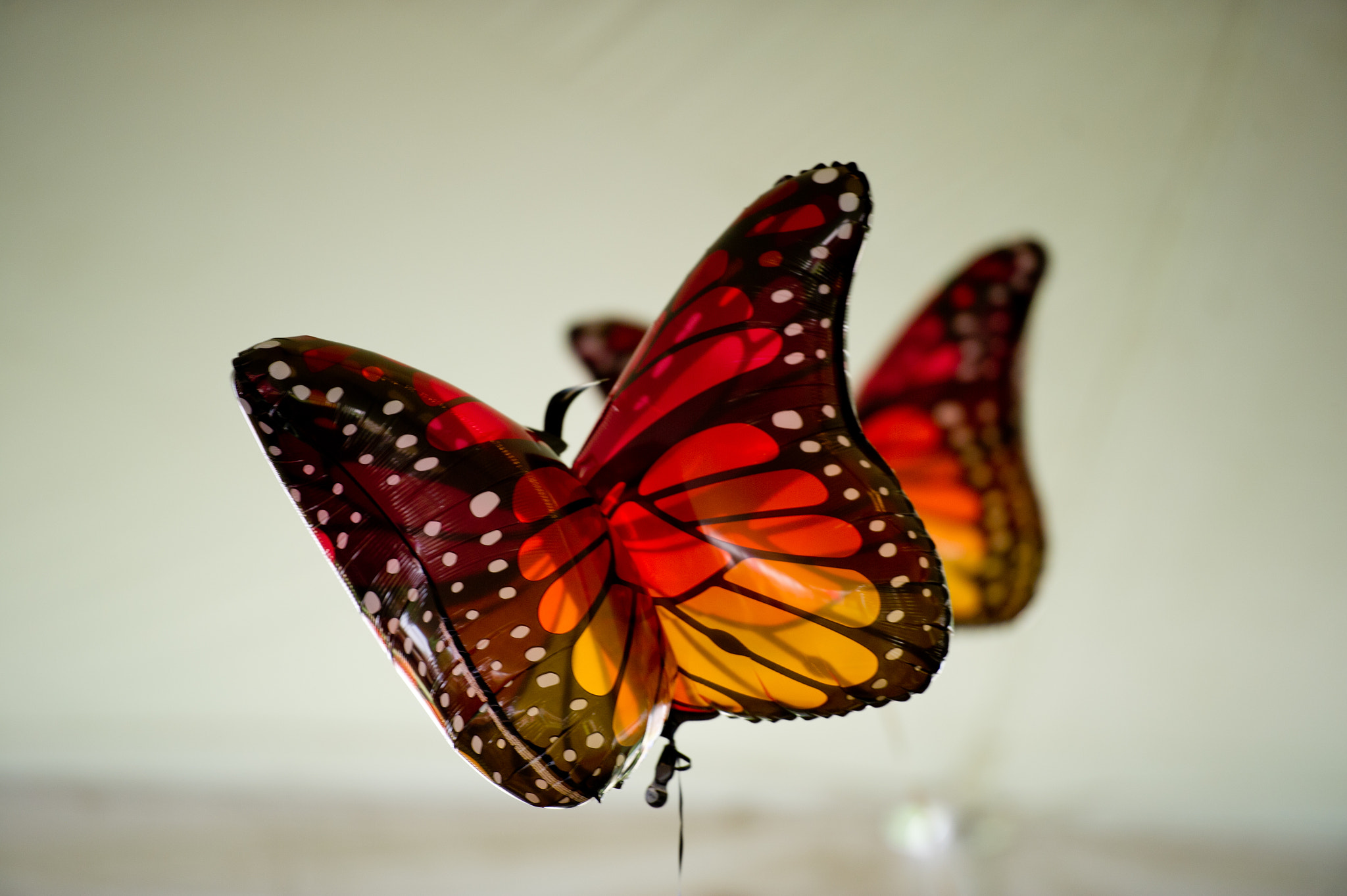 Nikon D3S sample photo. Butterfly balloons photography