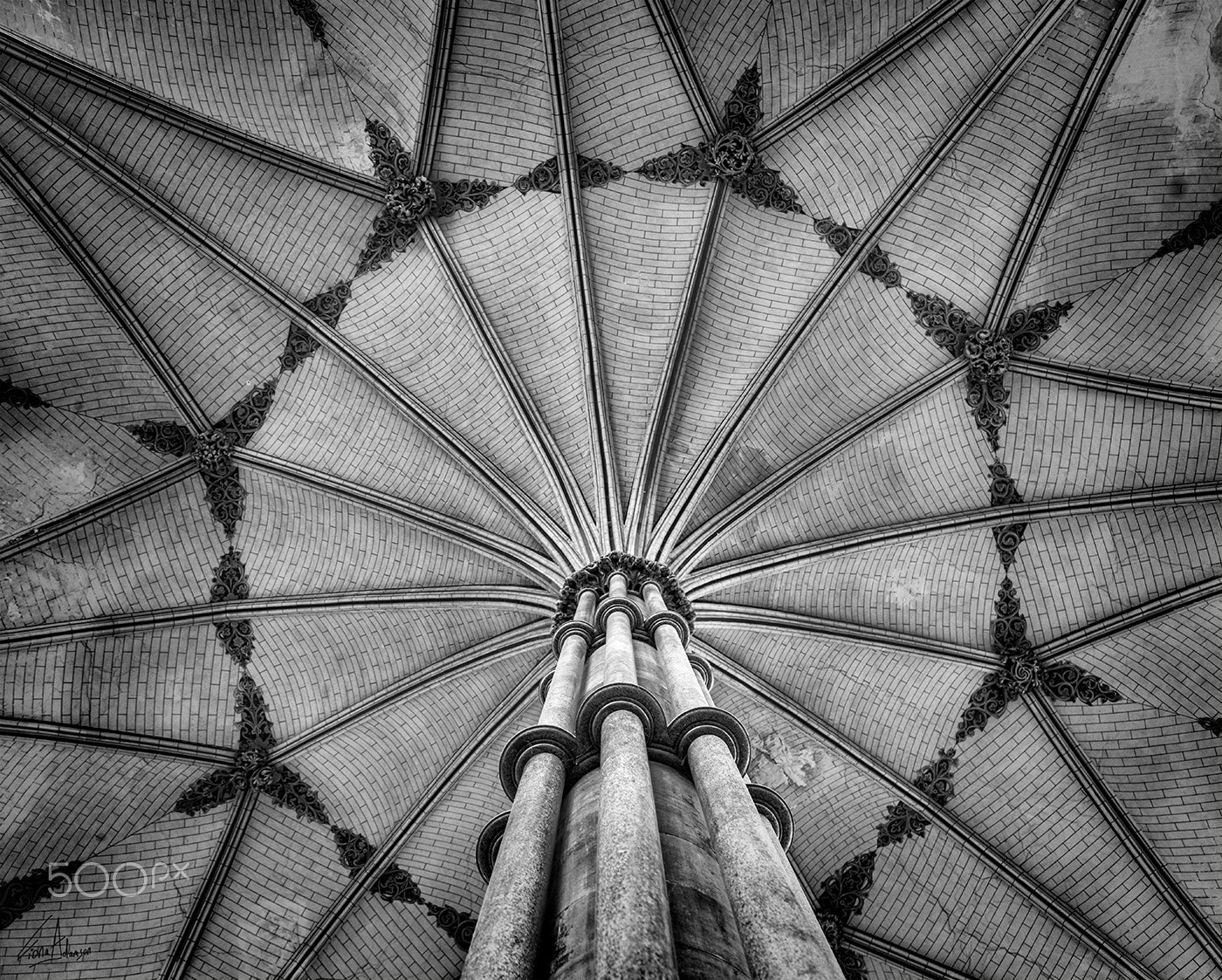 Nikon D810 sample photo. Salisbury cathedral photography