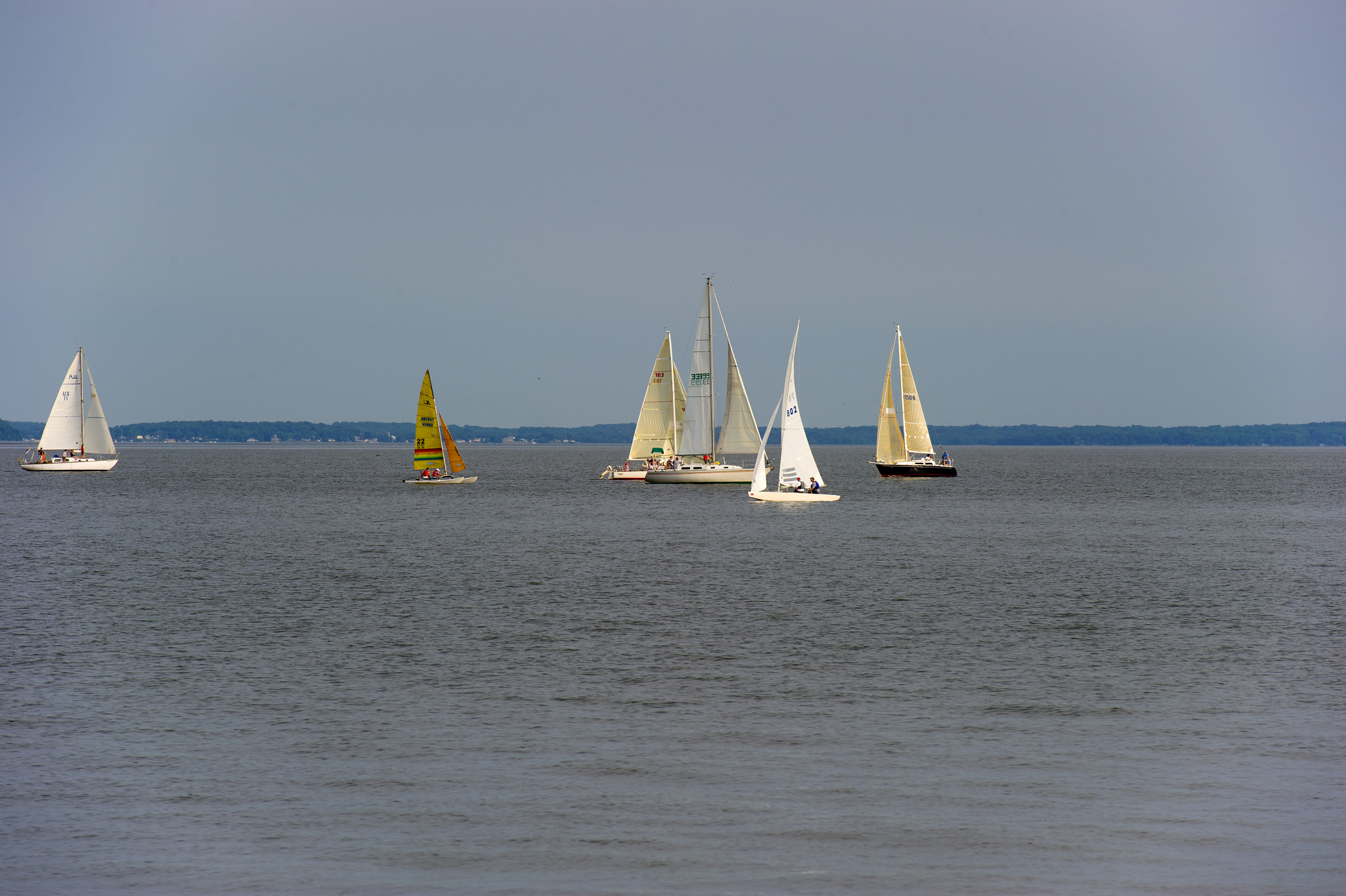 Nikon D3S sample photo. Sail boats on the water in havre de grace, md photography