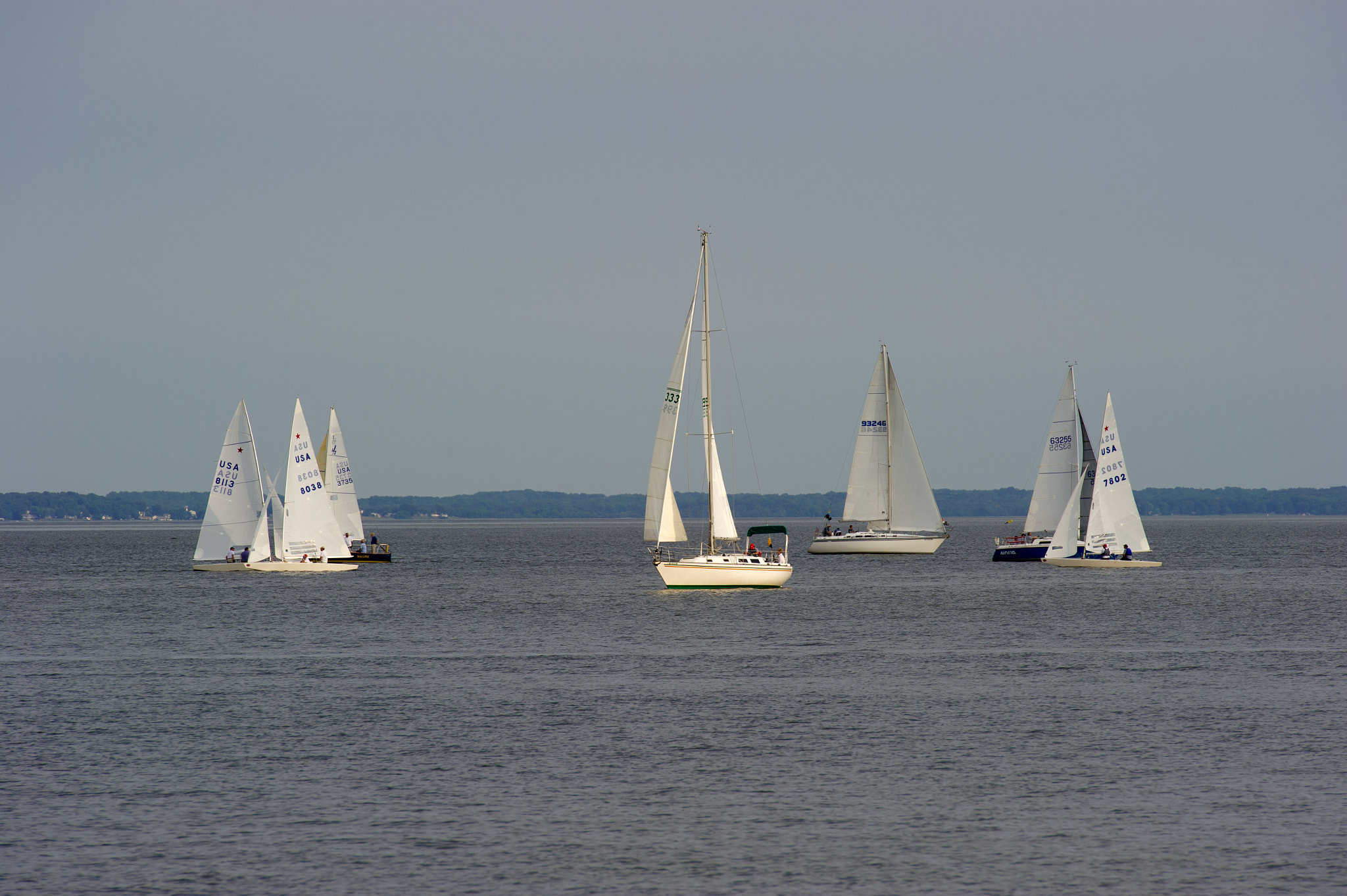Nikon D3S sample photo. Sail boats on the water in havre de grace, md photography