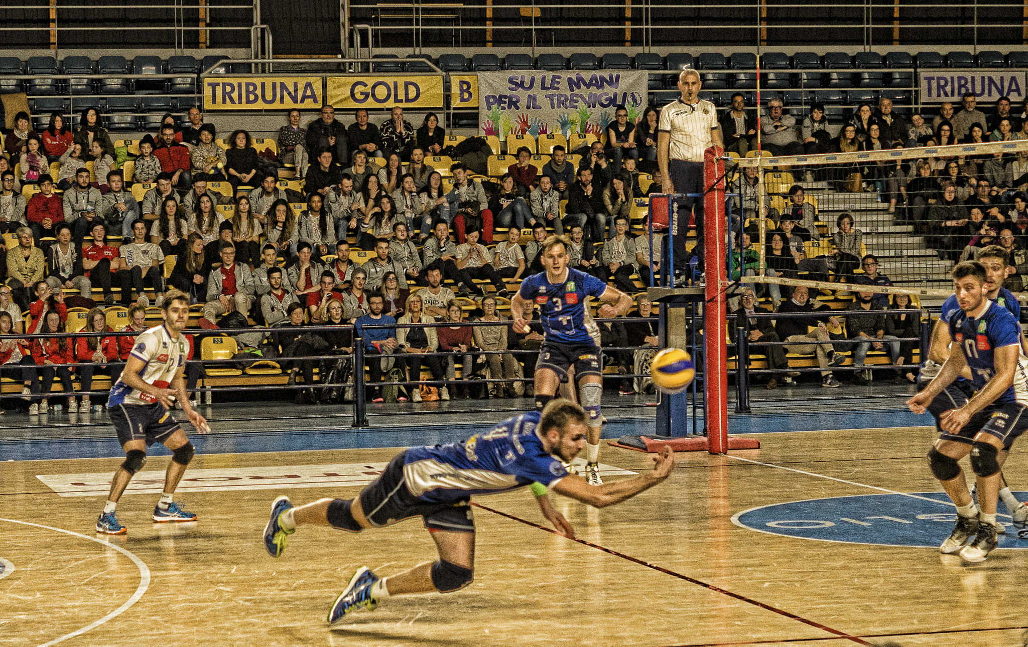 Sony SLT-A58 + Sony DT 50mm F1.8 SAM sample photo. Recupero acrobatico photography