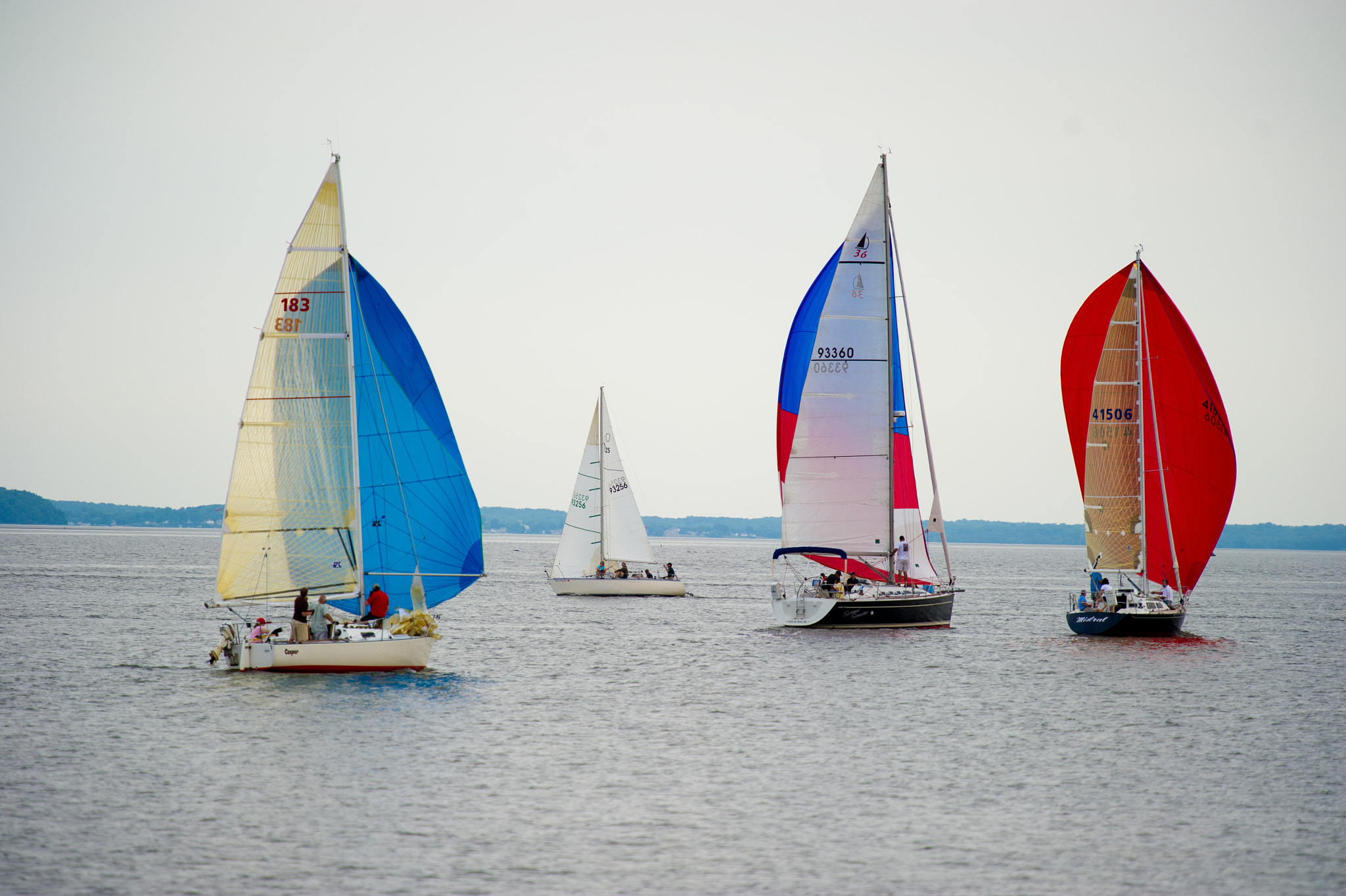 Nikon D3S sample photo. Sail boats on the water in havre de grace, md photography