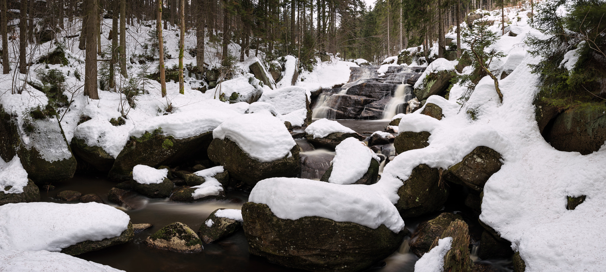 Nikon D7200 + Sigma 18-35mm F1.8 DC HSM Art sample photo. Cerná desná photography