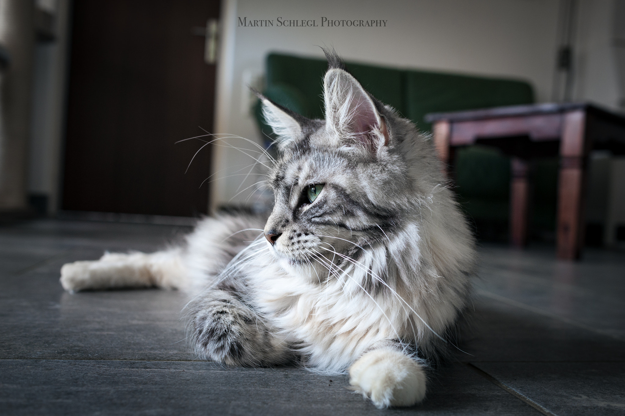 Sigma 30mm F1.4 EX DC HSM sample photo. Wendy photography