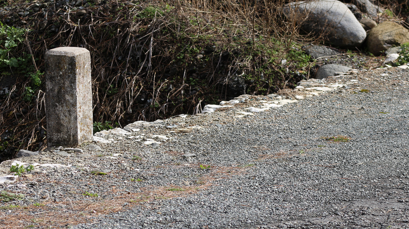 Canon EF 75-300mm f/4-5.6 USM sample photo. Edge photography
