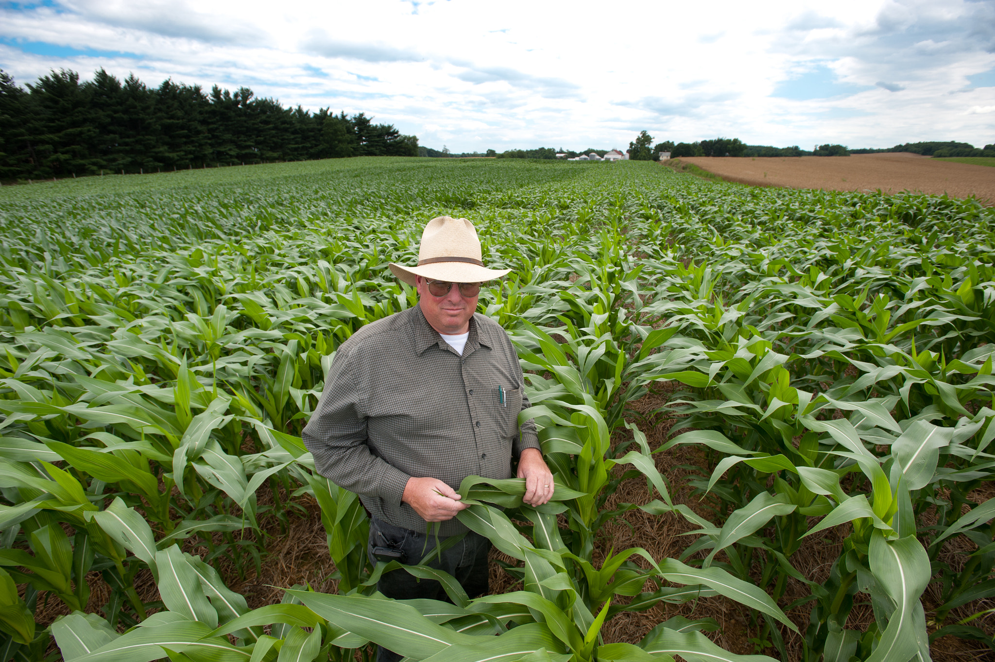 Nikon D700 + Nikon AF-S Nikkor 17-35mm F2.8D ED-IF sample photo. Farmer in field of corn crop on a farm photography