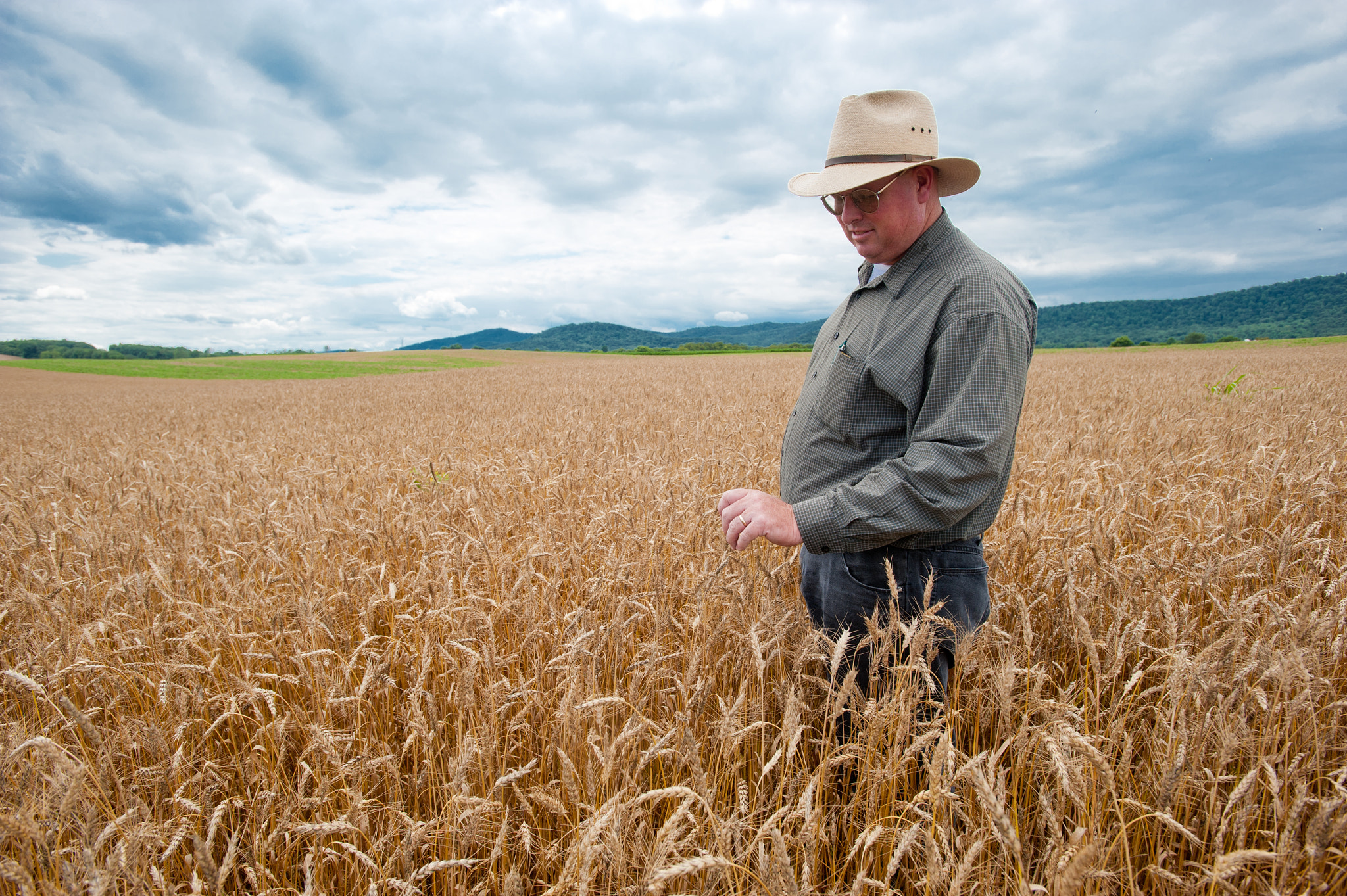 Nikon D700 + Nikon AF-S Nikkor 17-35mm F2.8D ED-IF sample photo. Grain farmer in field of grain inspecting crop photography