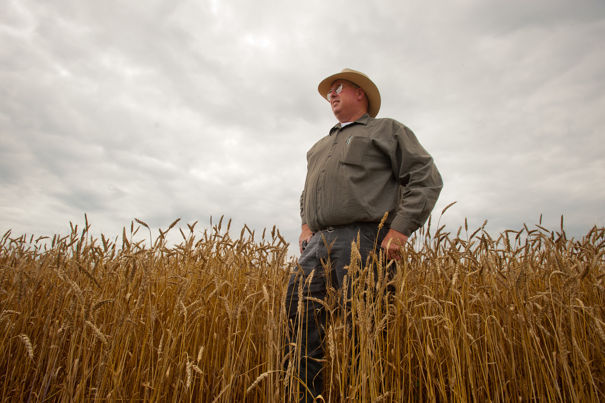 Nikon D700 + Nikon AF-S Nikkor 17-35mm F2.8D ED-IF sample photo. Grain farmer in field of grain inspecting crop photography