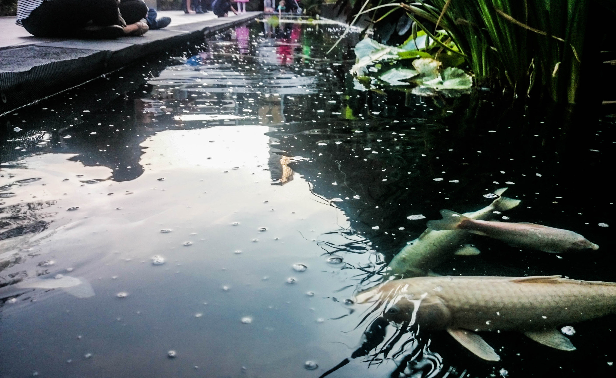 Sony Xperia Z1 Compact sample photo. Pensar photography