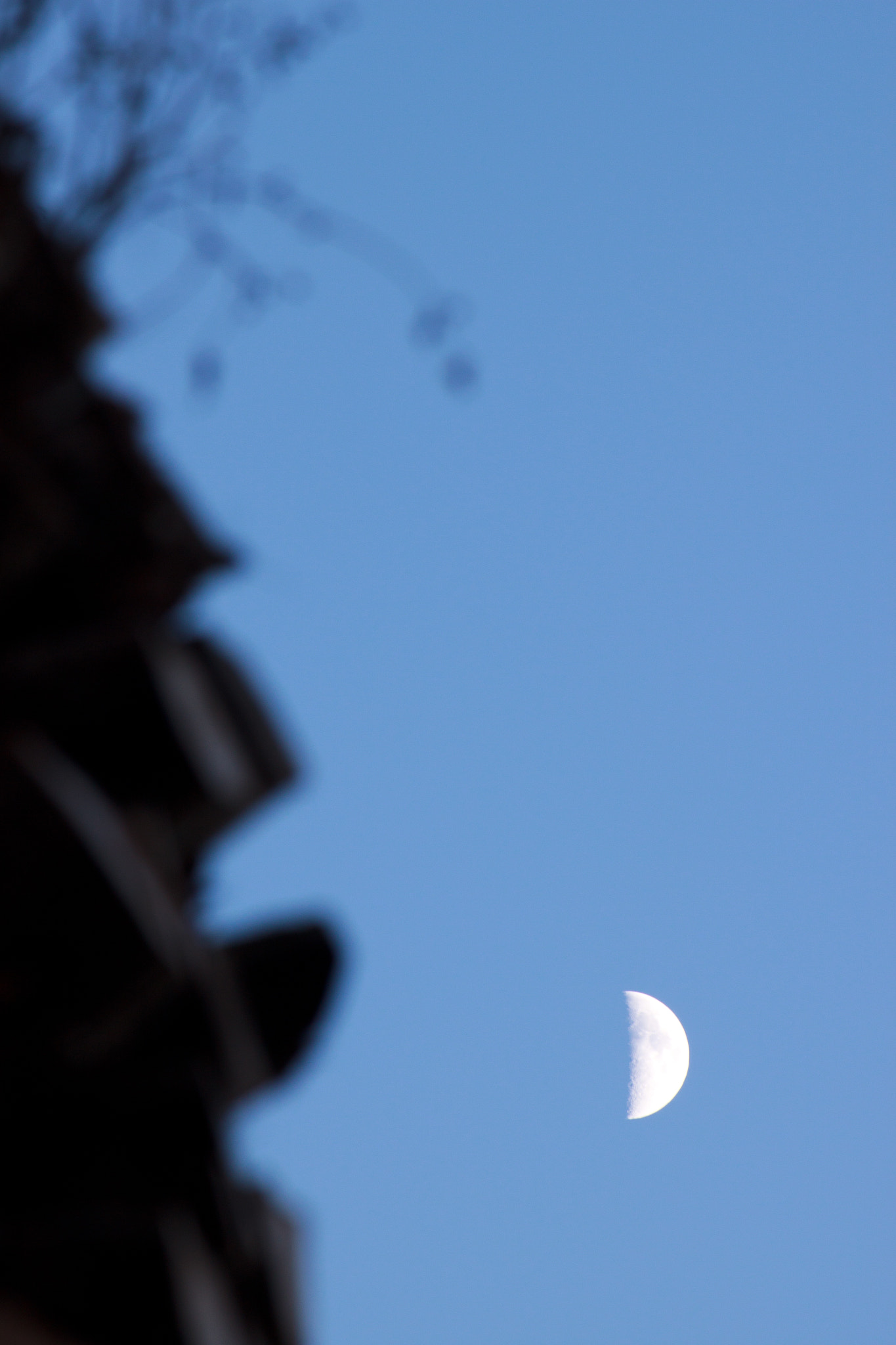 Canon EF-S 55-250mm F4-5.6 IS sample photo. Moonlight photography