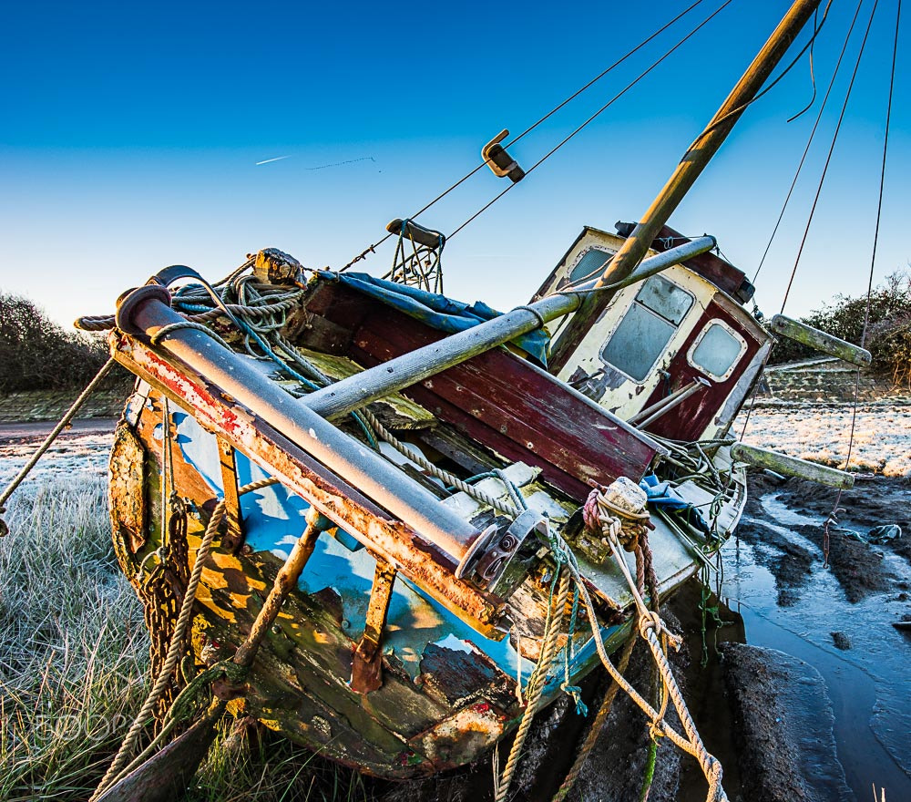 Nikon D810 + Nikon AF-S Nikkor 20mm F1.8G ED sample photo. Wreck seagul freezing morning photography